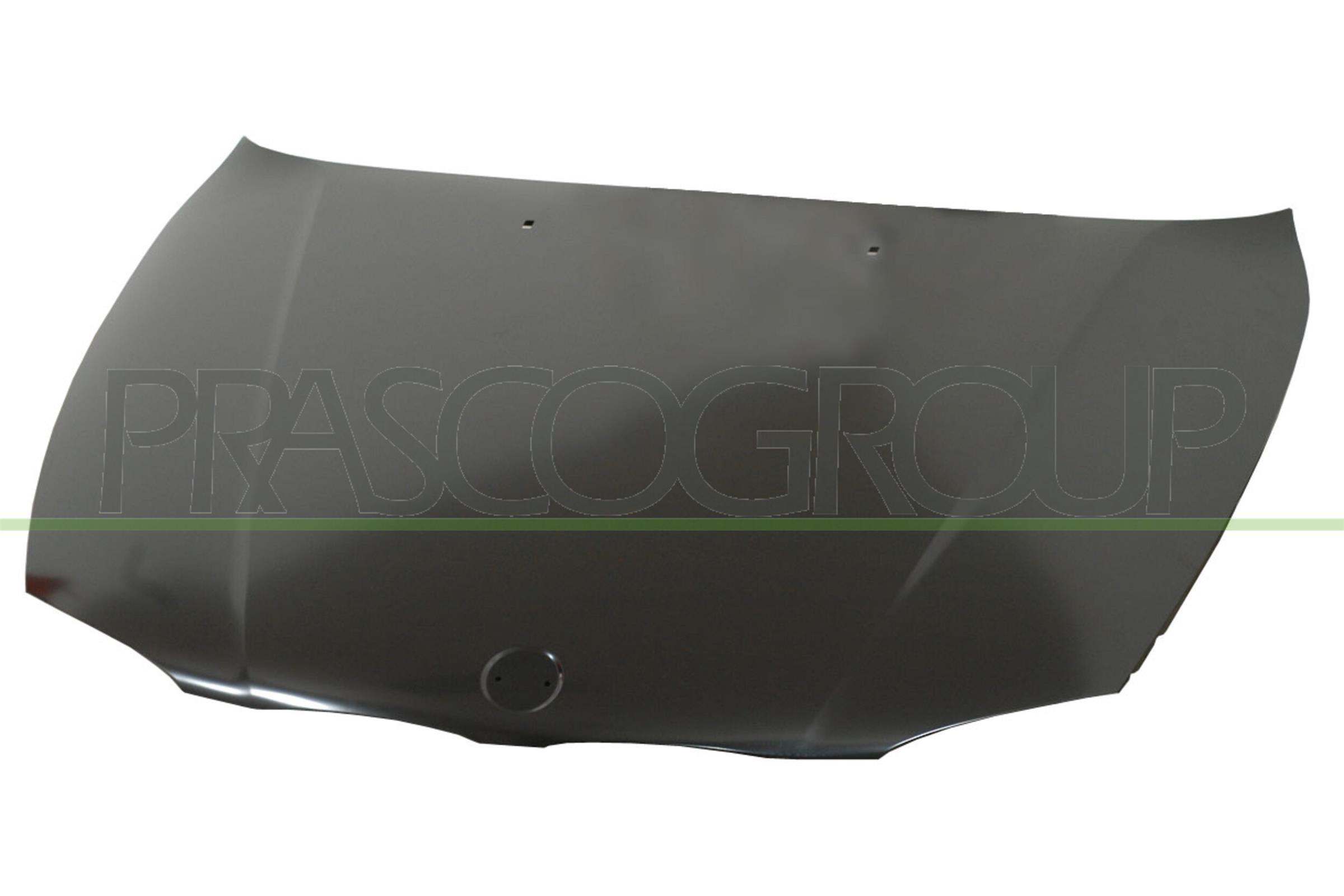 Capota motor BM1203100 PRASCO