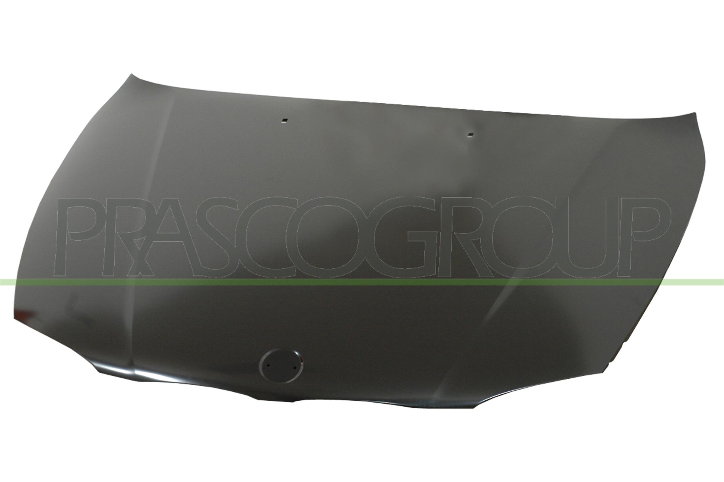 Capota motor BM1203130 PRASCO