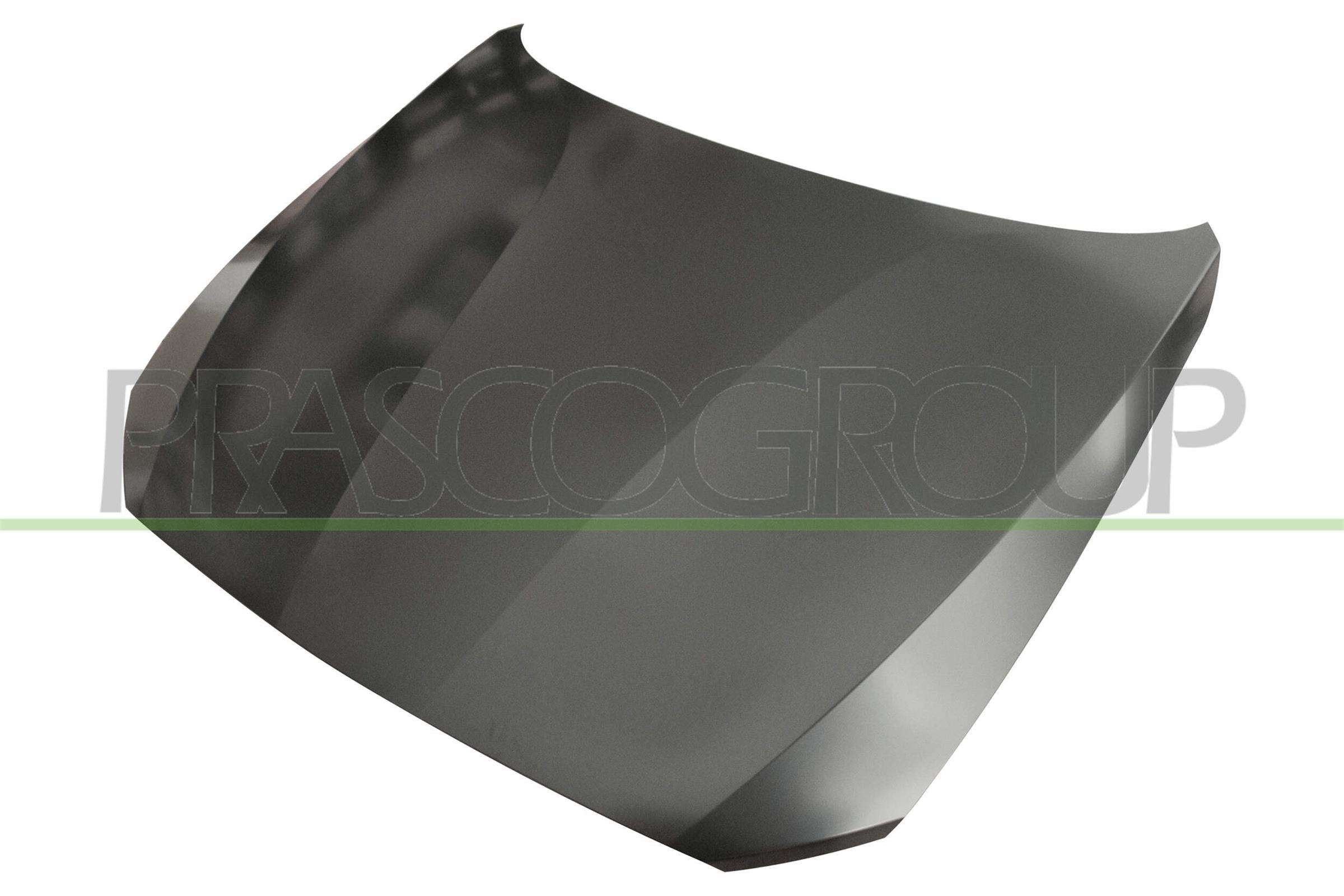 Capota motor BM1233100 PRASCO