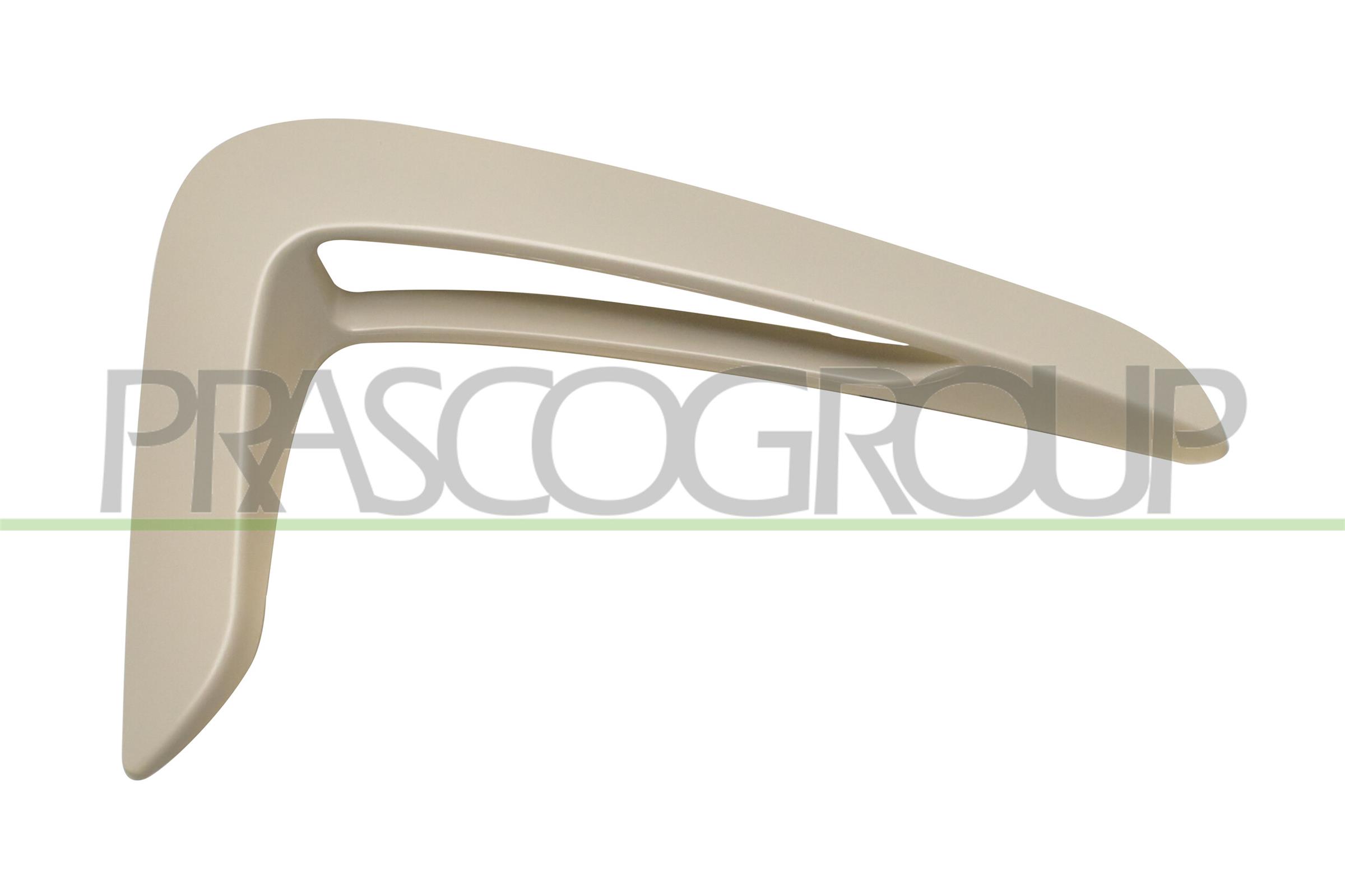 Elemente decorative/protectie, aripa BM3901403 PRASCO