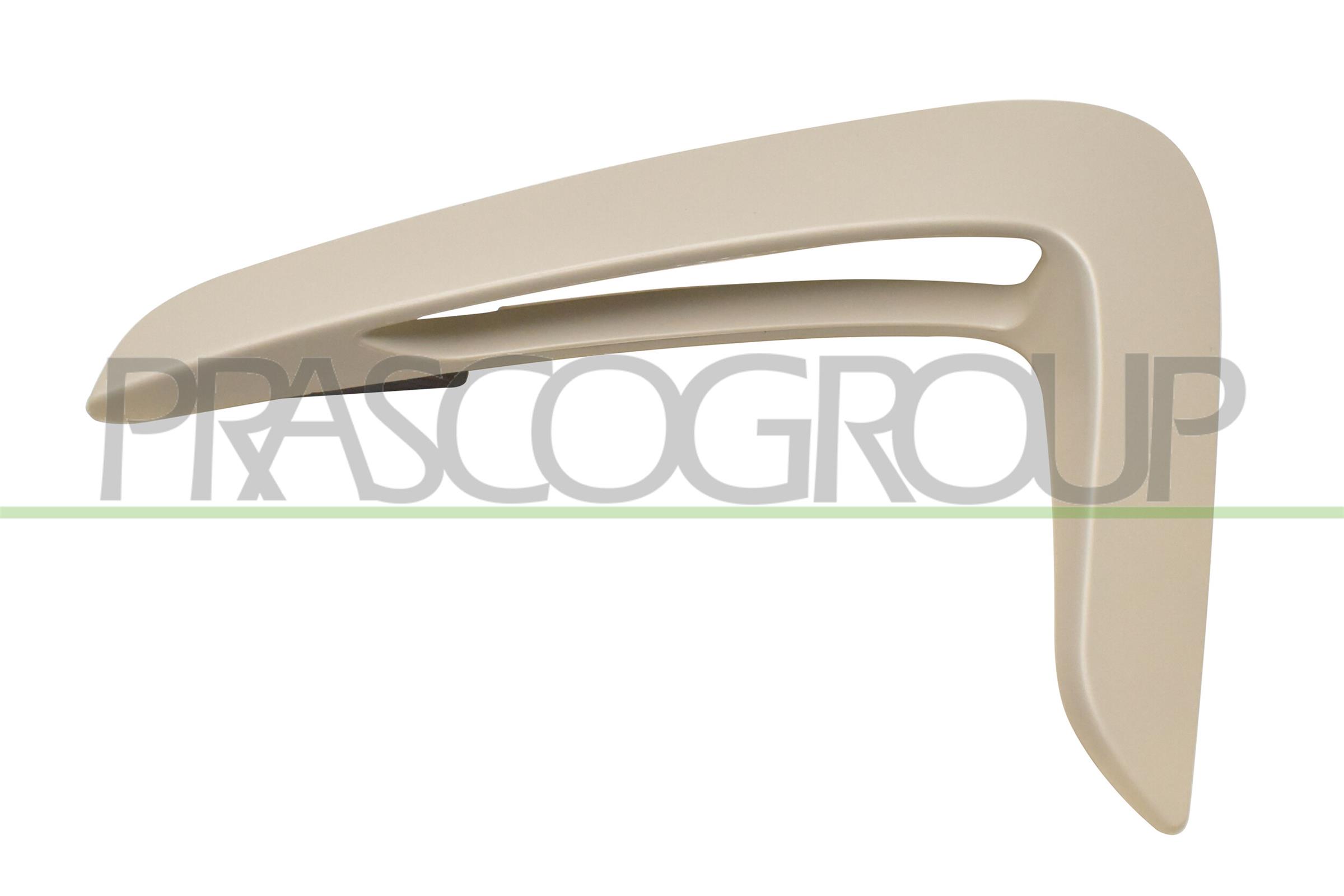 Elemente decorative/protectie, aripa BM3901404 PRASCO