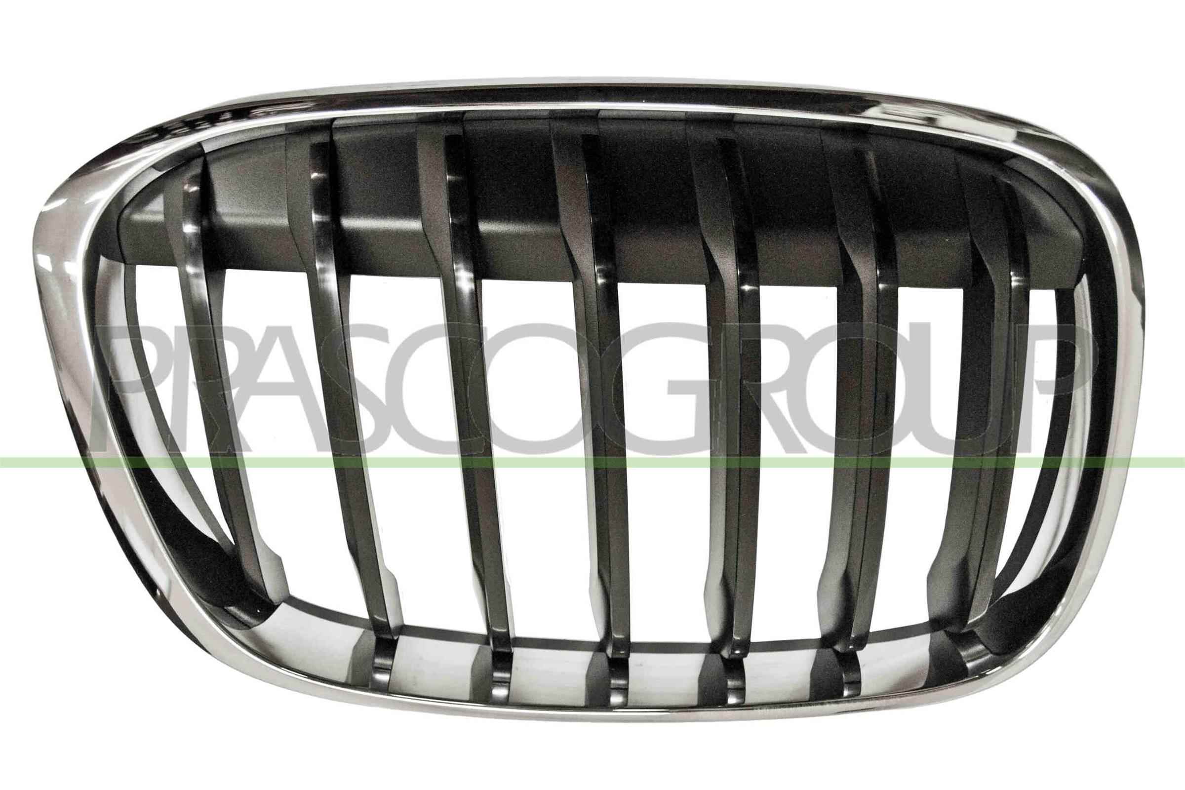 Grila radiator BM7062003 PRASCO