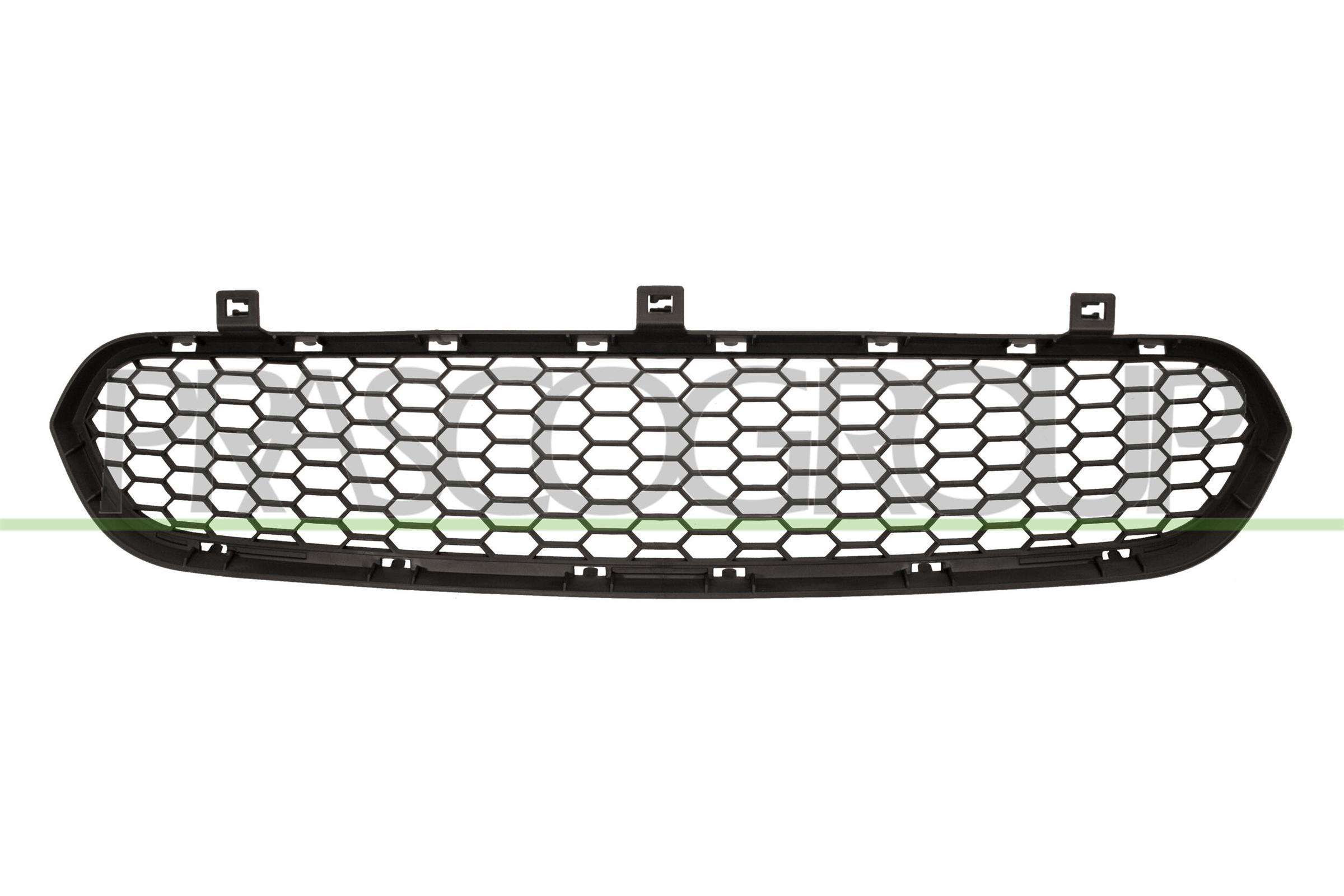 Grila ventilatie, bara protectie BM8252120 PRASCO