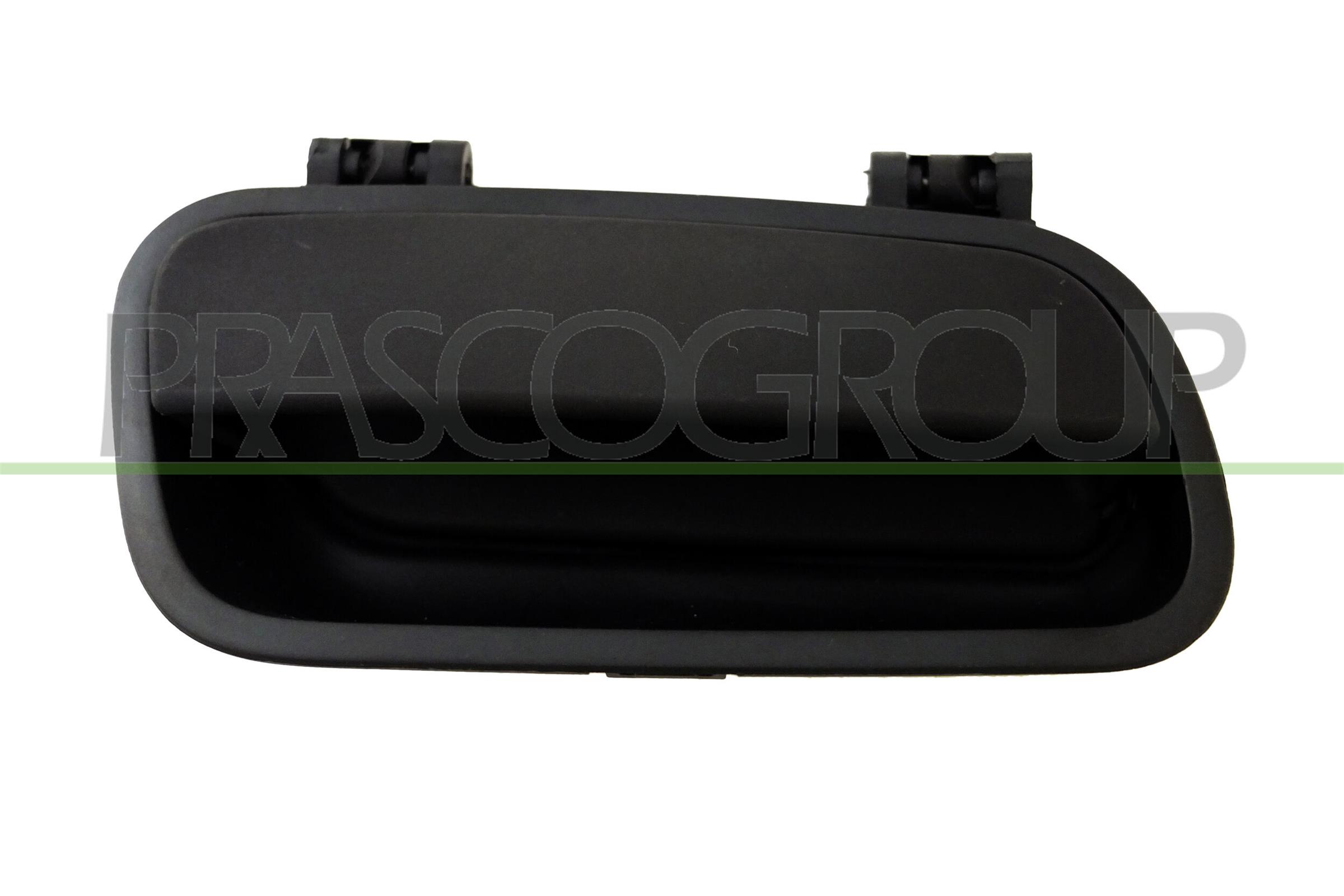 Maner usa, echipare interioara CI9158502 PRASCO