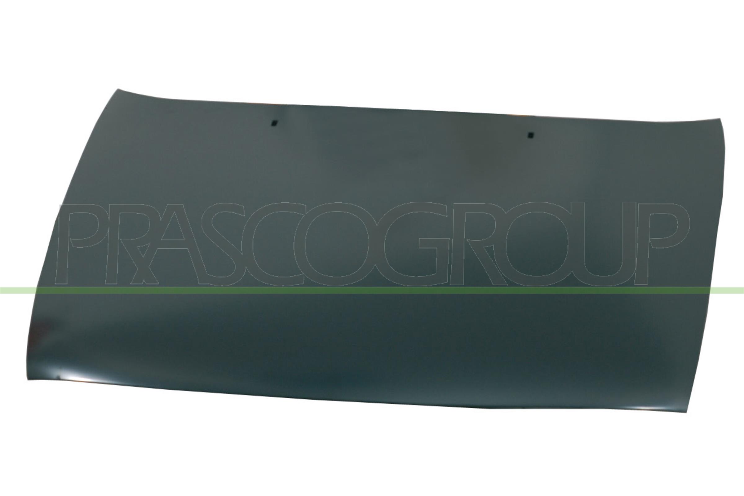 Capota motor FD0503100 PRASCO