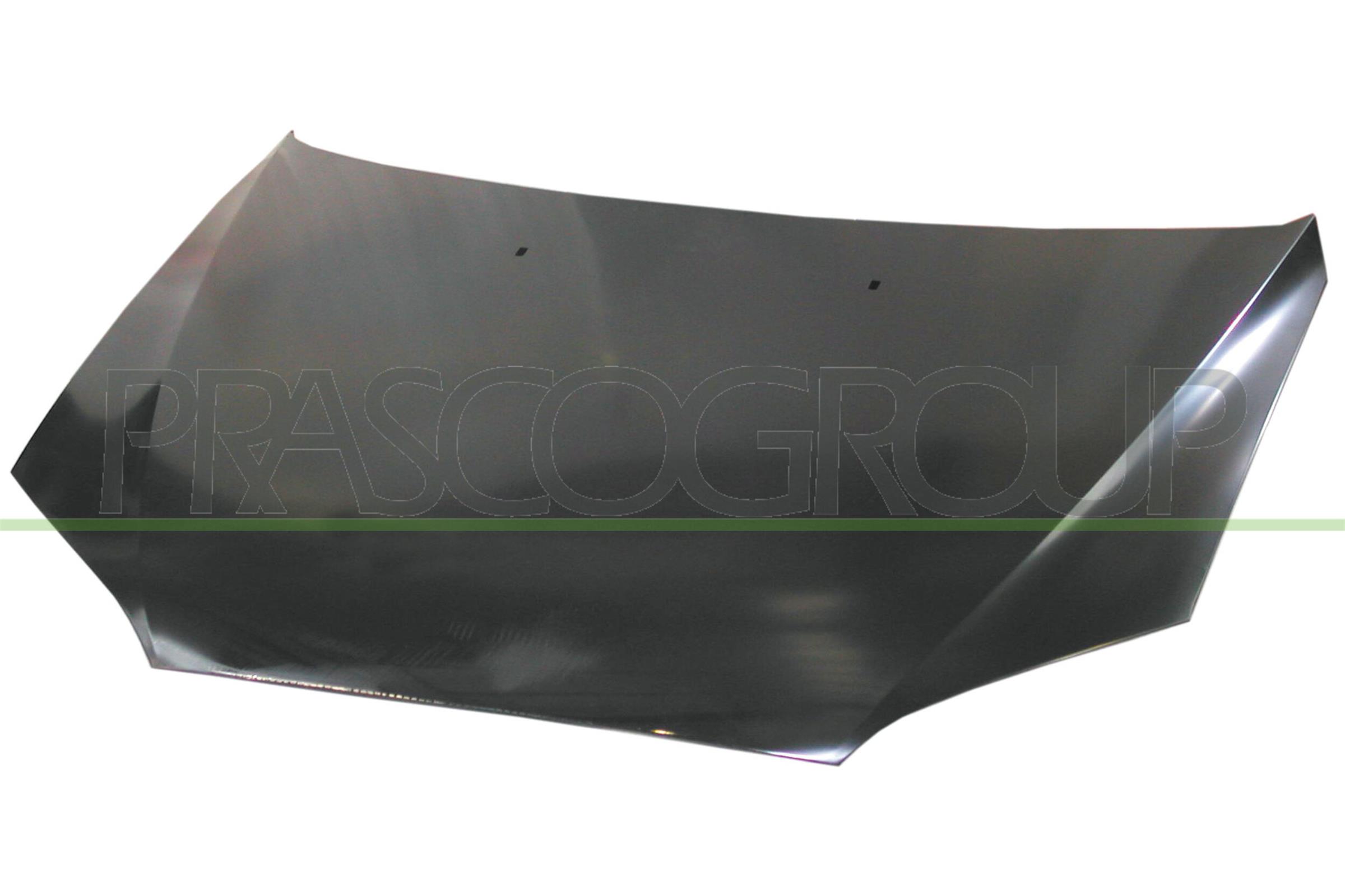 Capota motor FD1073100 PRASCO
