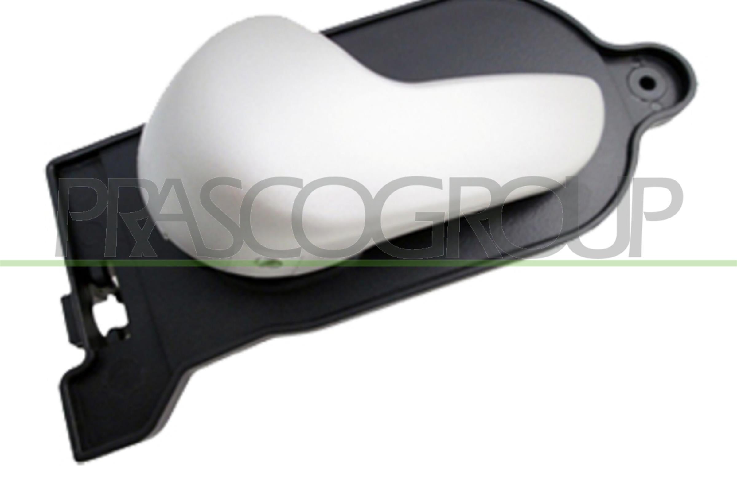 Maner usa, echipare interioara FD3408608 PRASCO