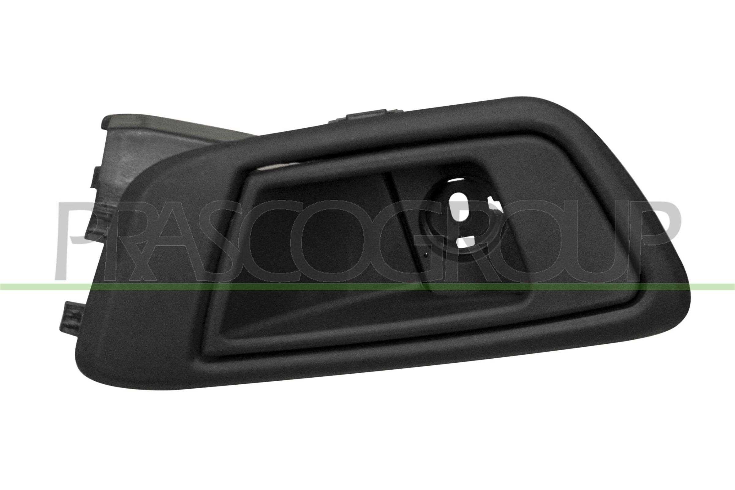 Maner usa, echipare interioara FD3448401 PRASCO