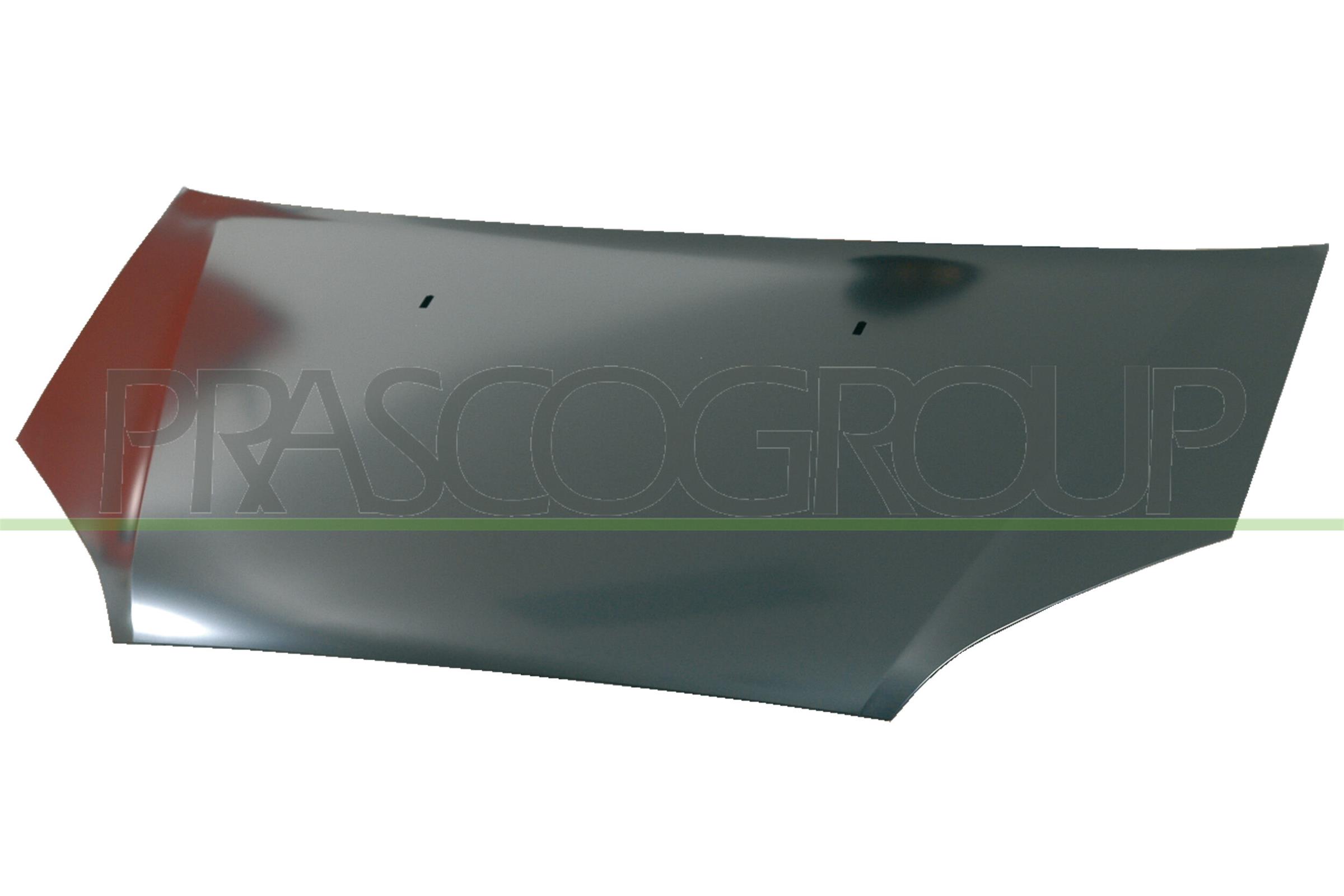 Capota motor FD7153130 PRASCO