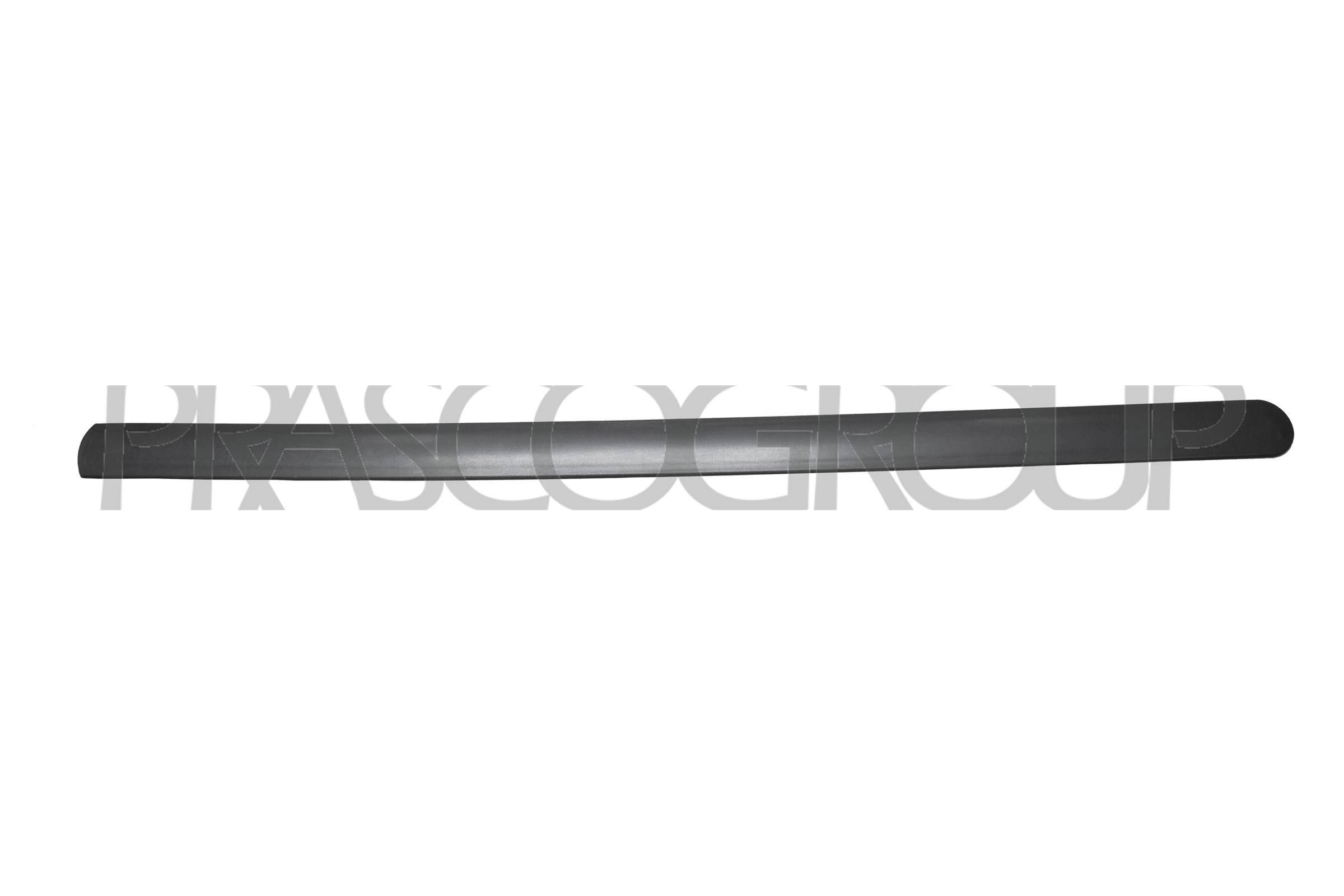 Elemente decorative/protectie, portiera FD9301403 PRASCO