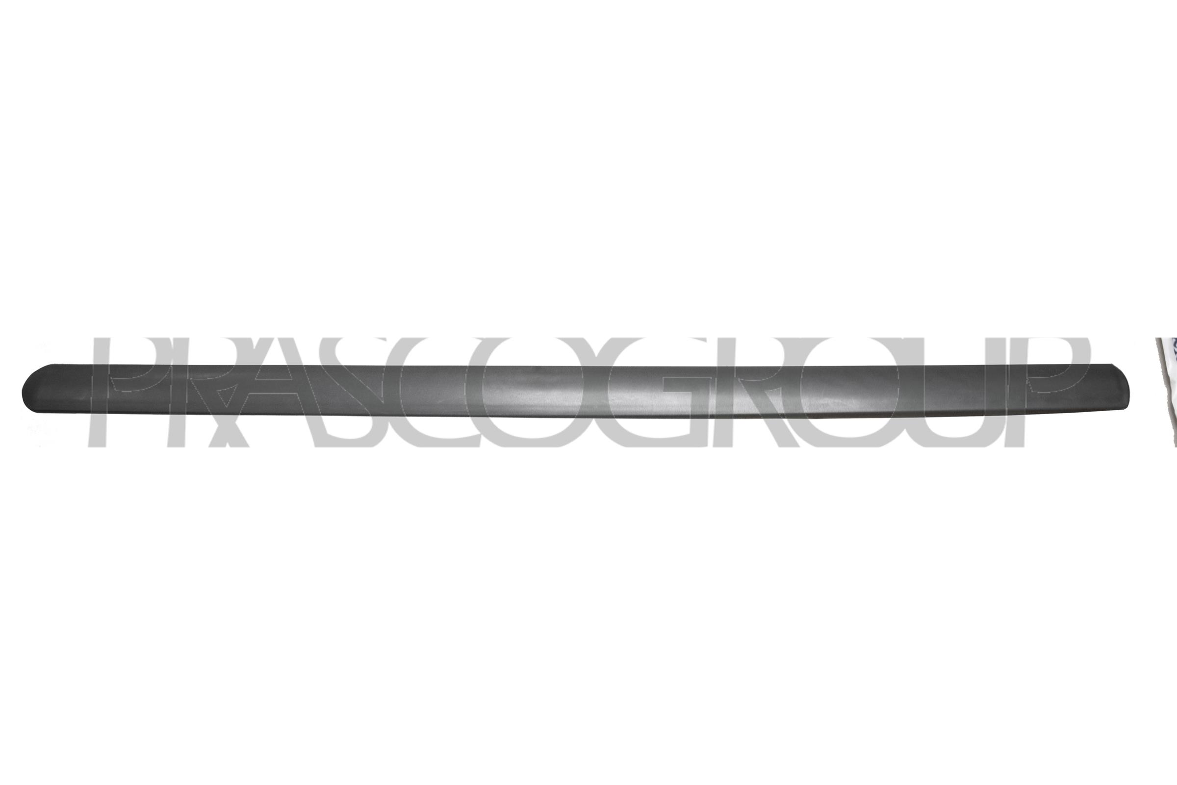 Elemente decorative/protectie, portiera FD9301404 PRASCO