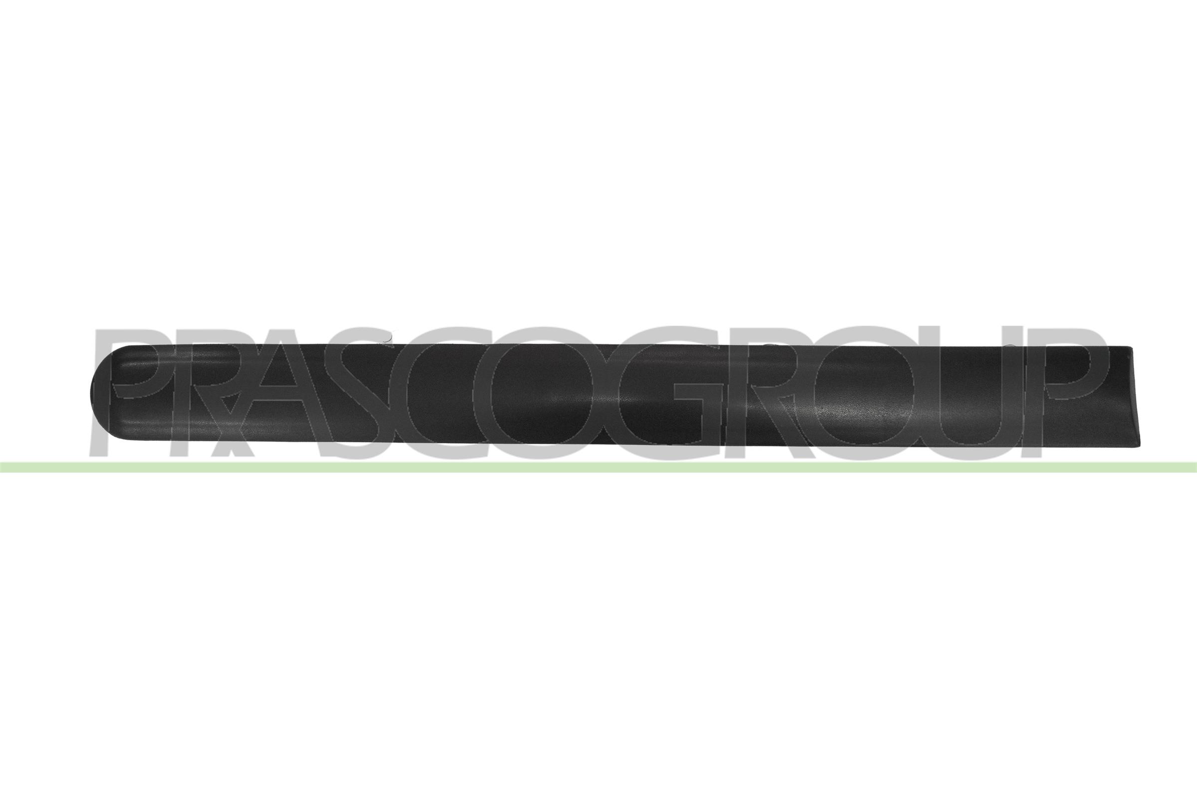 Elemente decorative/protectie, portiera FD9301453 PRASCO