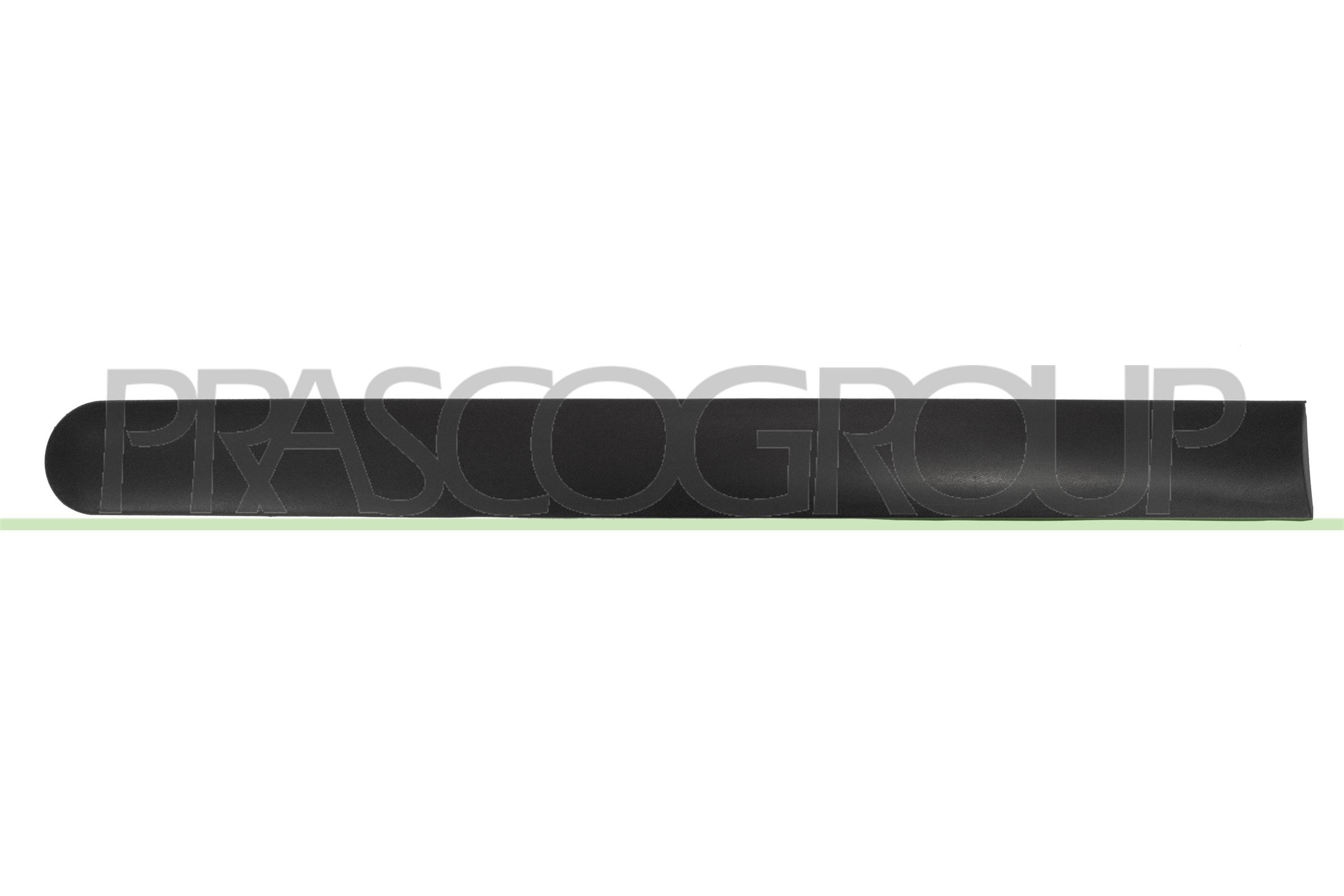 Elemente decorative/protectie, portiera FD9301454 PRASCO