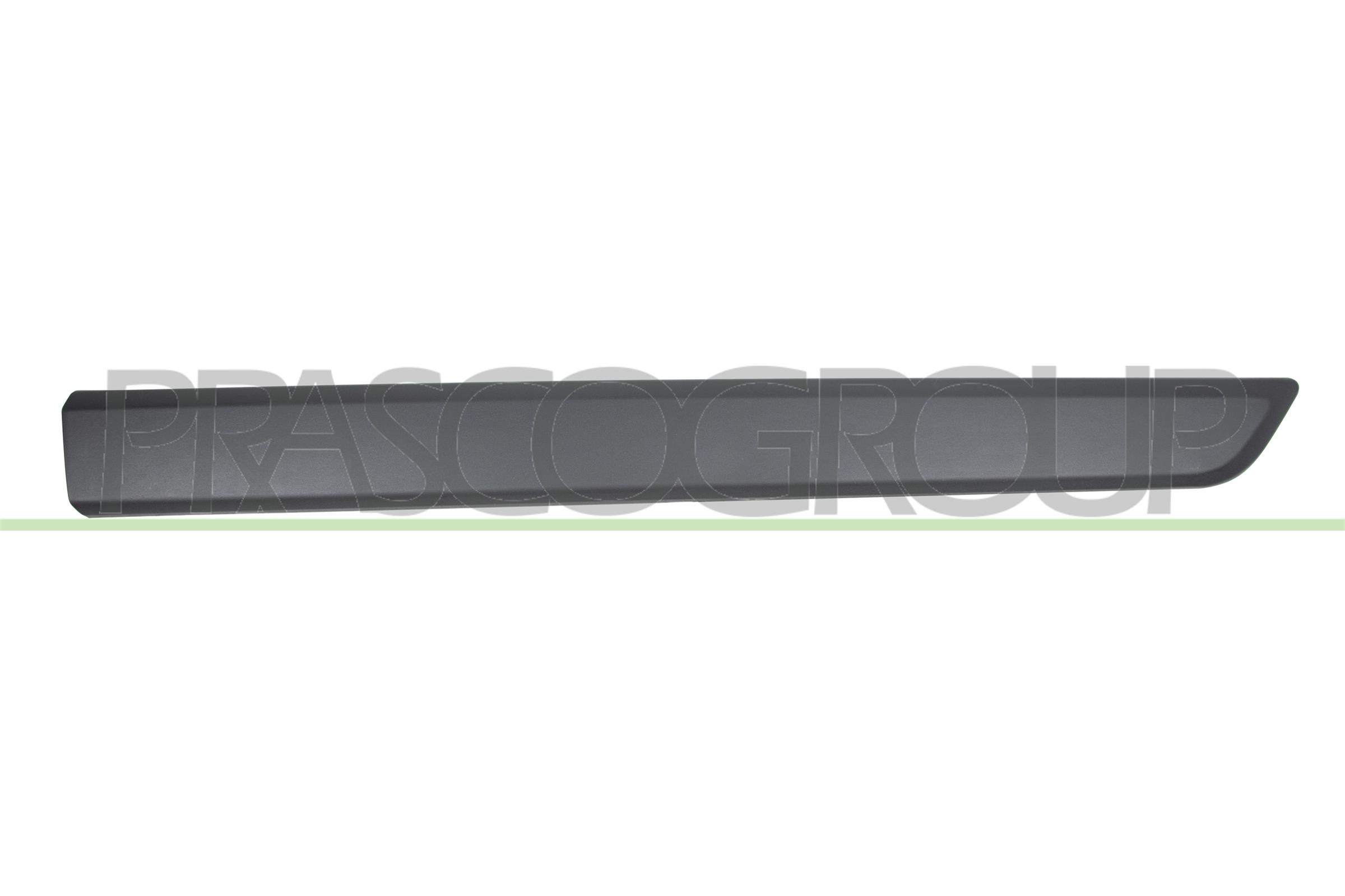Elemente decorative/protectie, portiera FT9071403 PRASCO