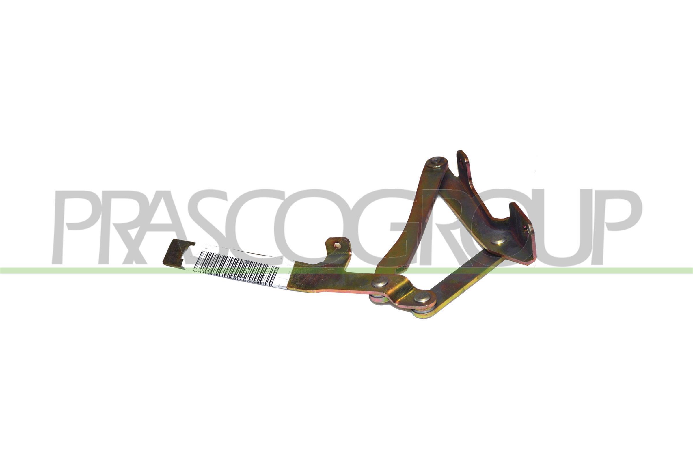 Balama, capota motor FT9193703 PRASCO