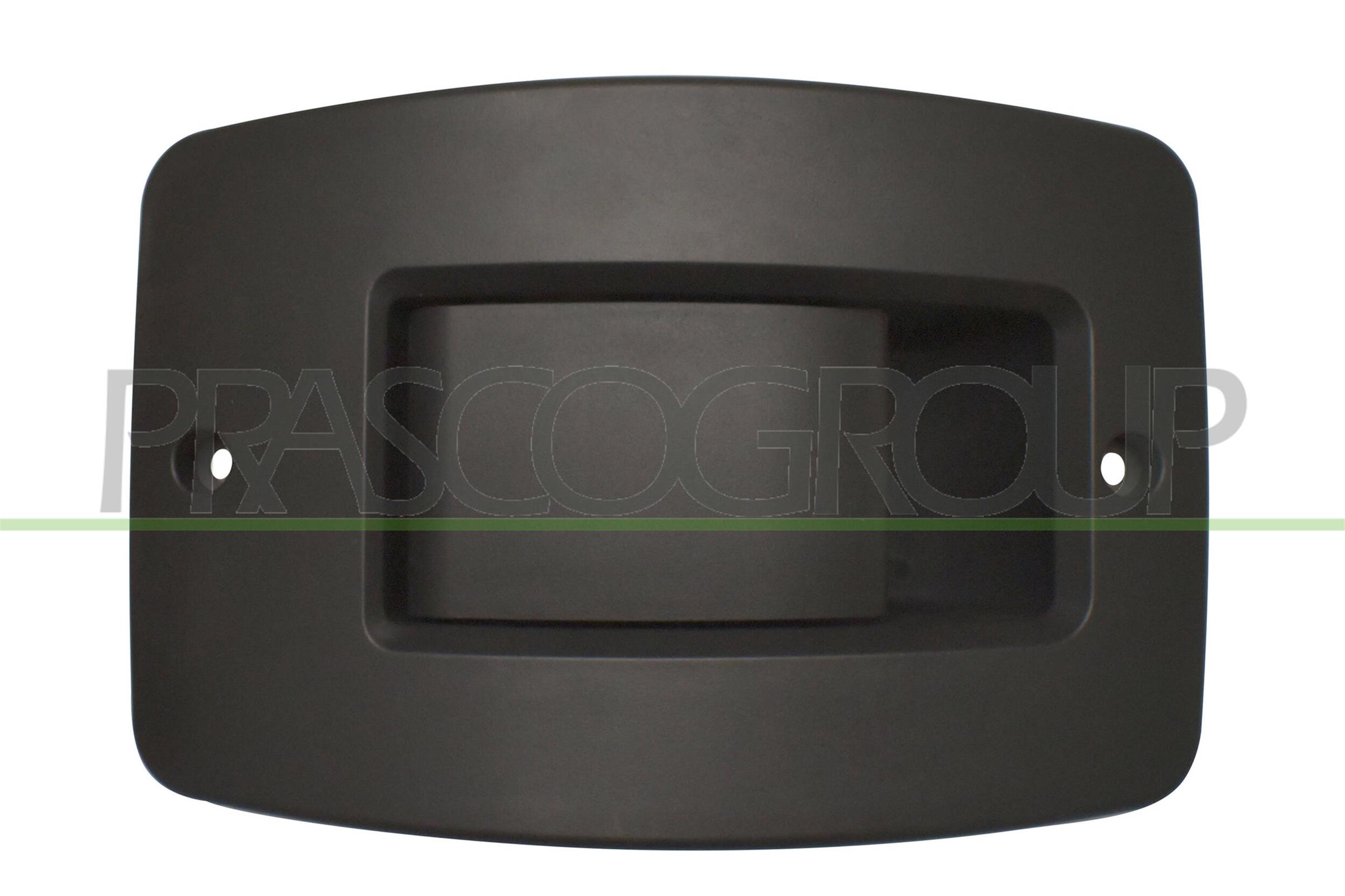 Maner usa, echipare interioara FT9208311 PRASCO