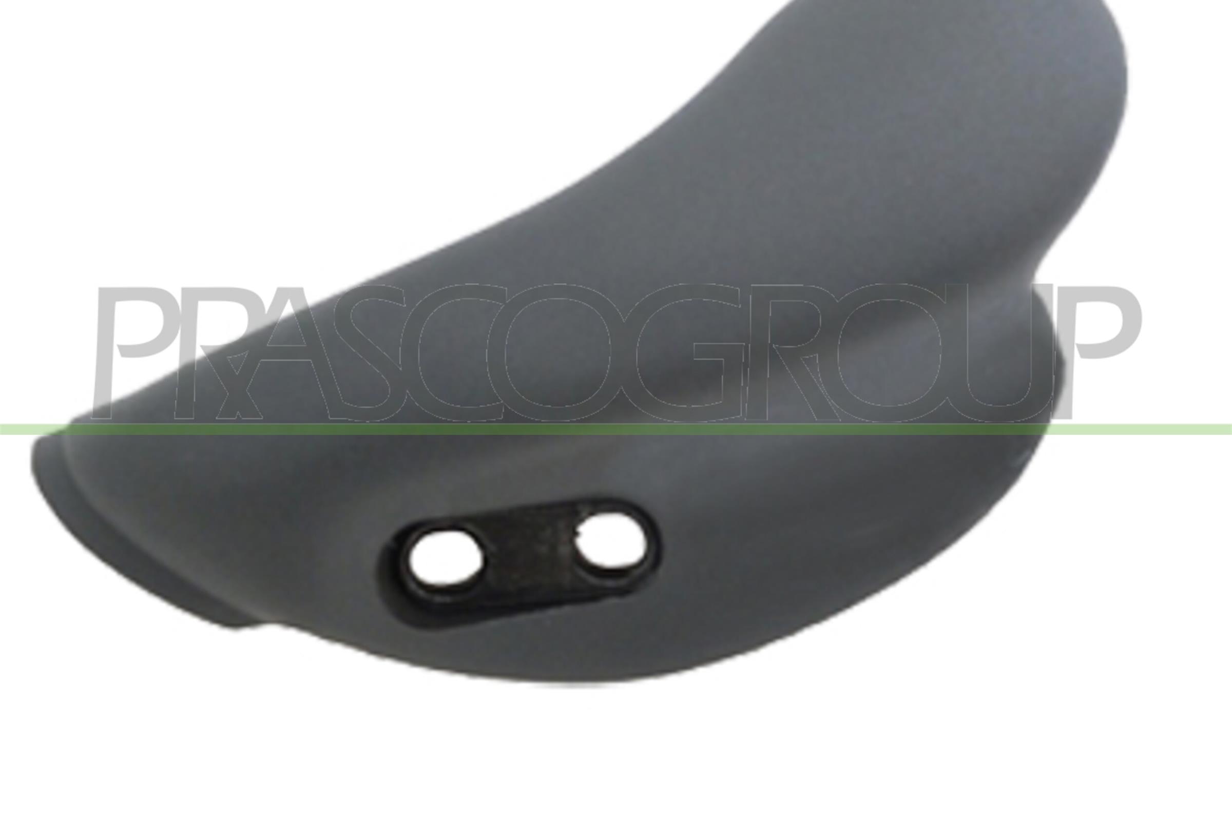 Maner usa, echipare interioara FT9208408 PRASCO
