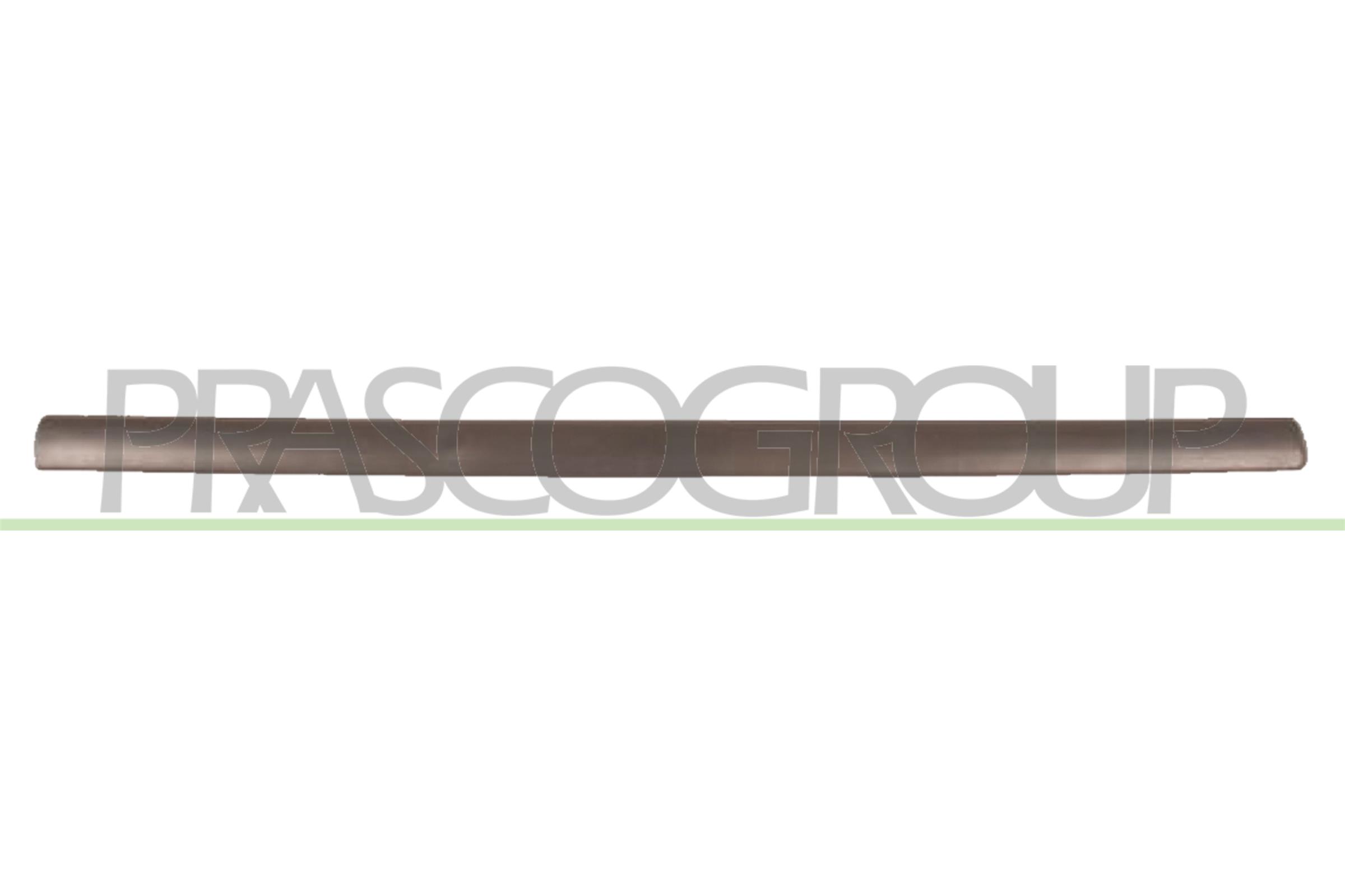 Elemente decorative/protectie, portiera OP0171403 PRASCO