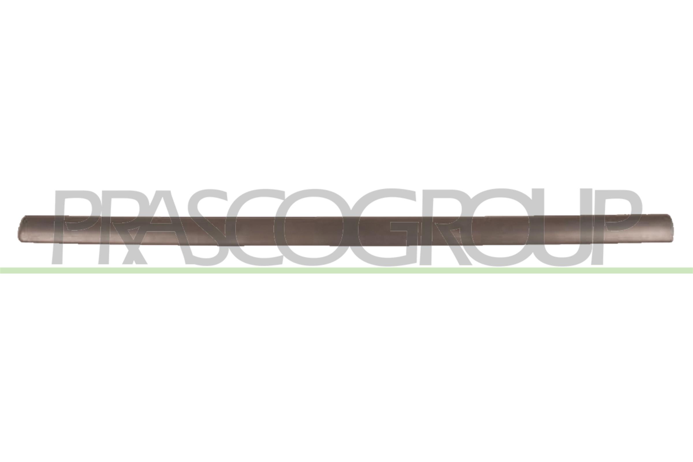 Elemente decorative/protectie, portiera OP0171404 PRASCO