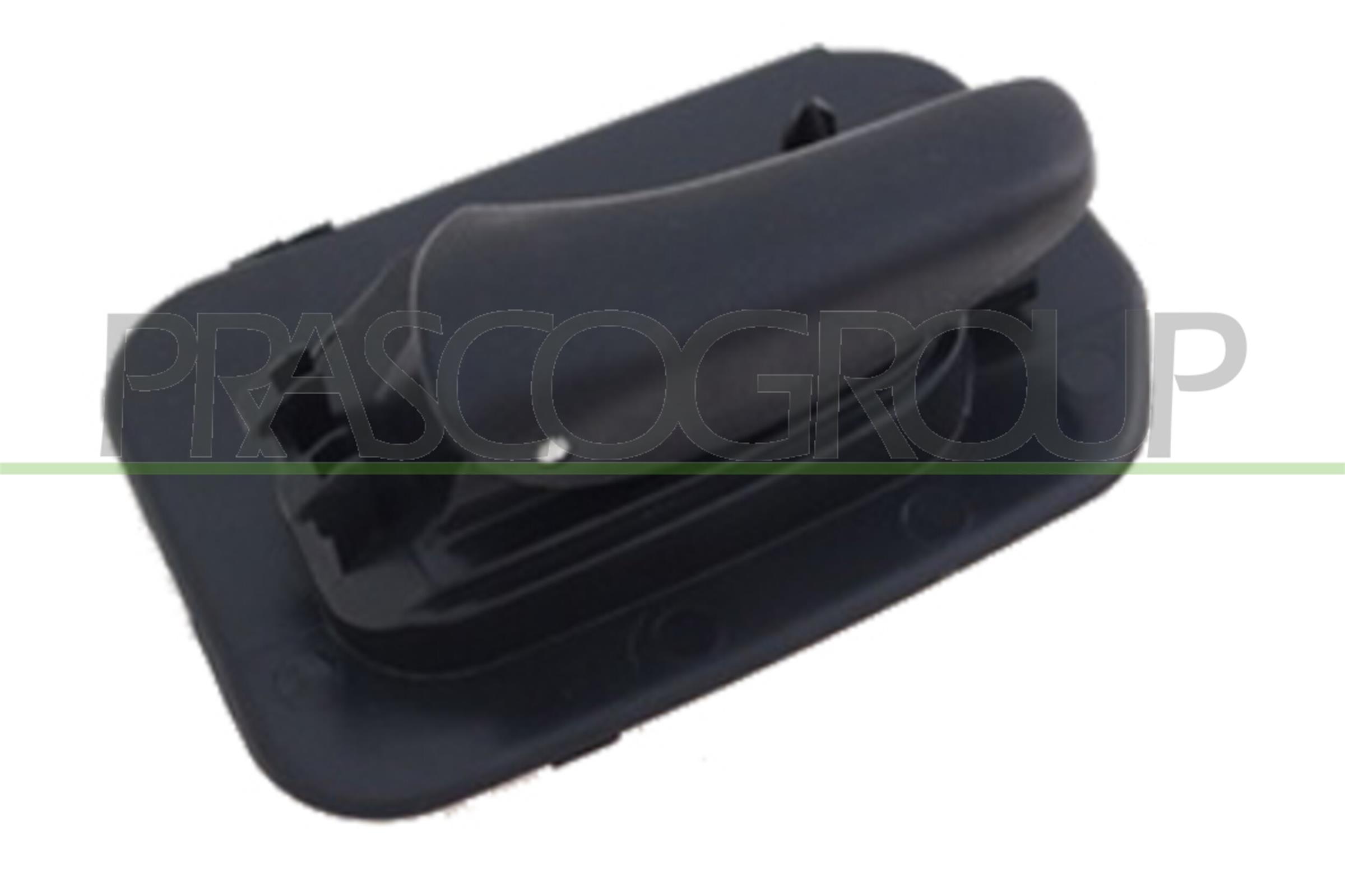 Maner usa, echipare interioara OP0288502 PRASCO