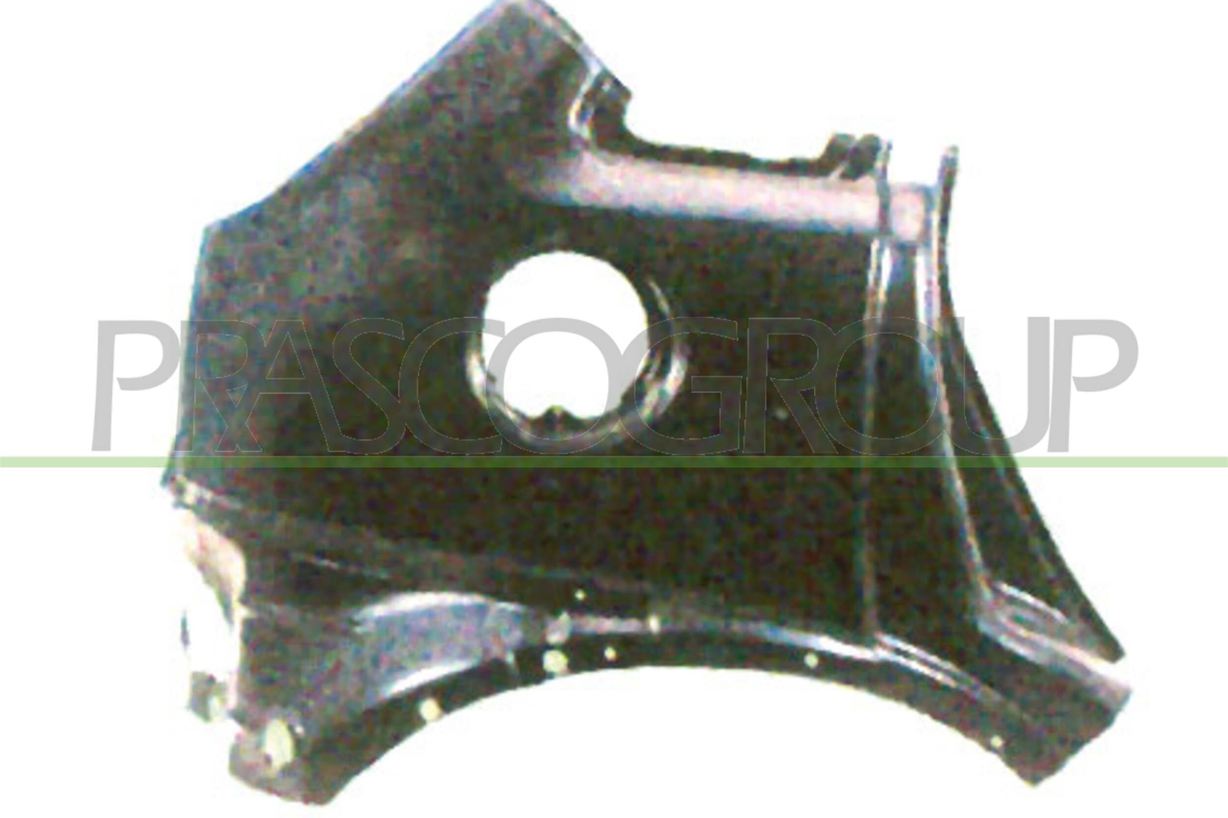 Panou lateral OP0303064 PRASCO
