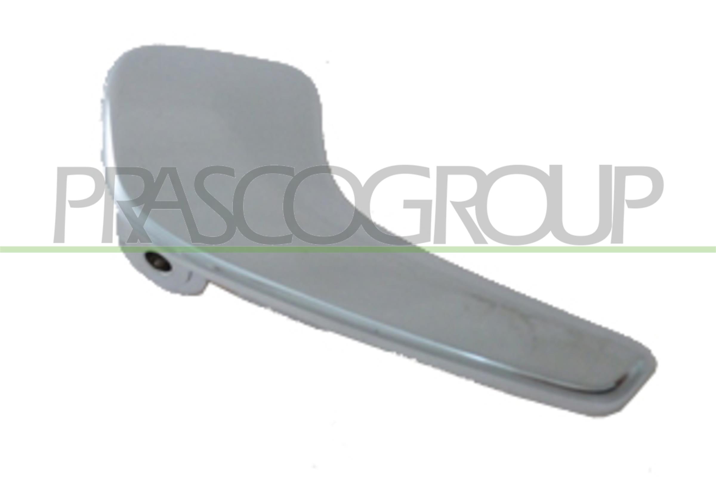 Maner usa, echipare interioara OP0348806 PRASCO