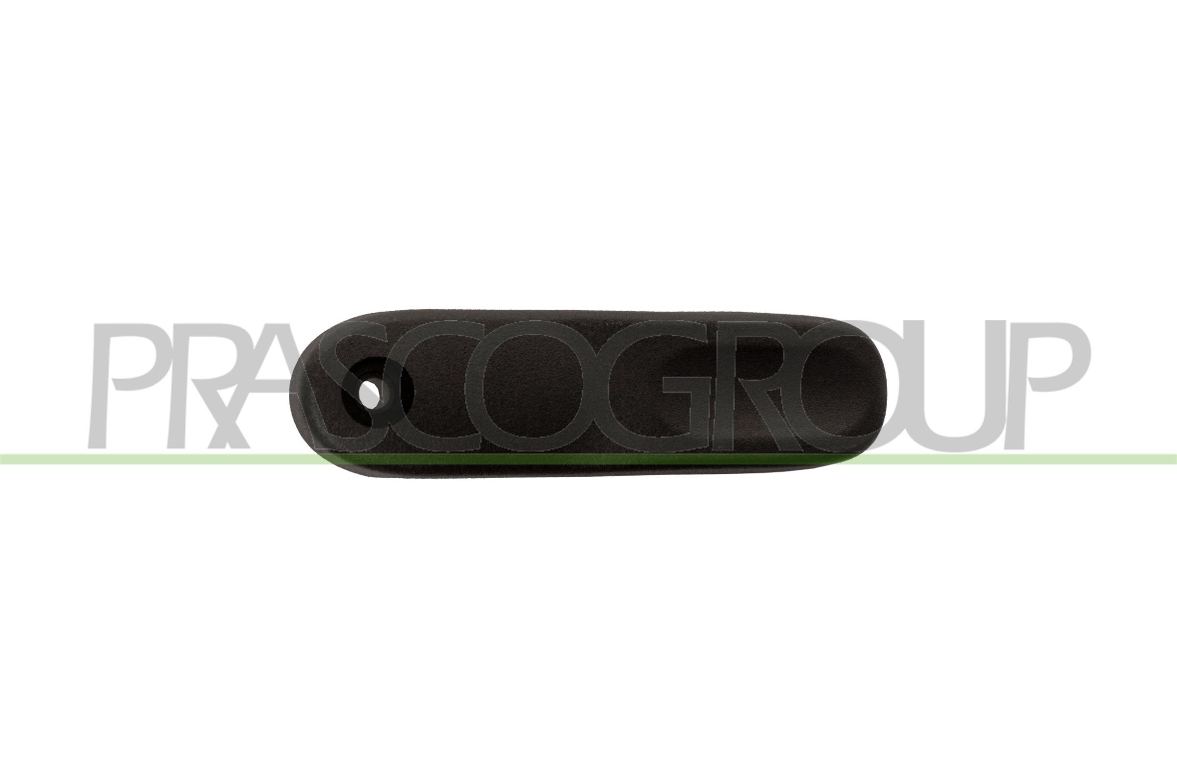 Maner usa, echipare interioara OP9328311 PRASCO