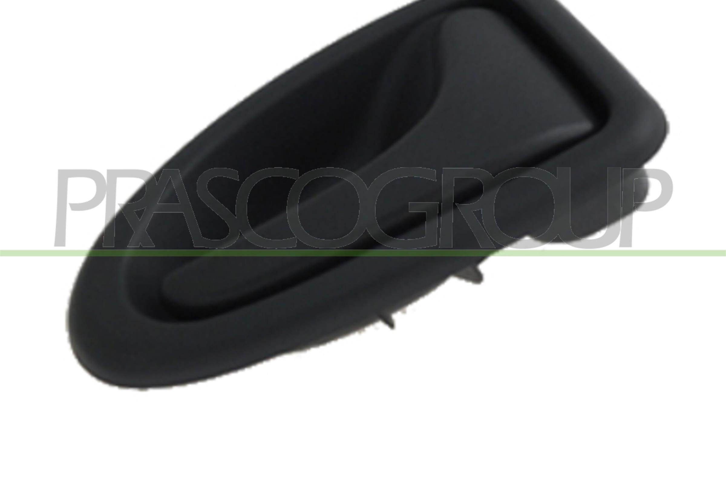 Maner usa, echipare interioara OP9328401 PRASCO