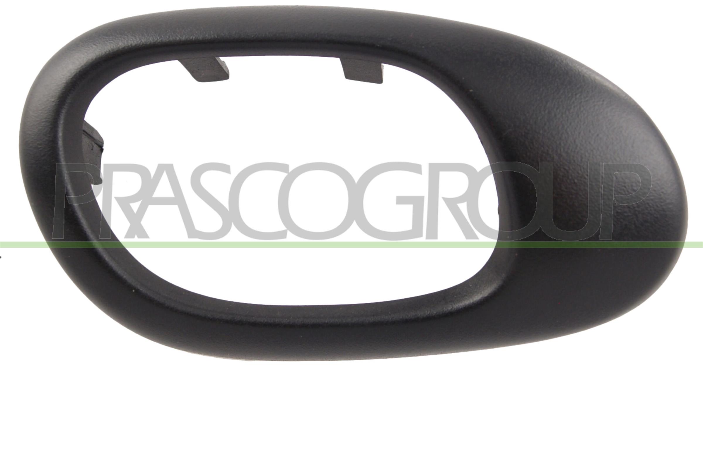 Maner usa, echipare interioara PG0098701 PRASCO