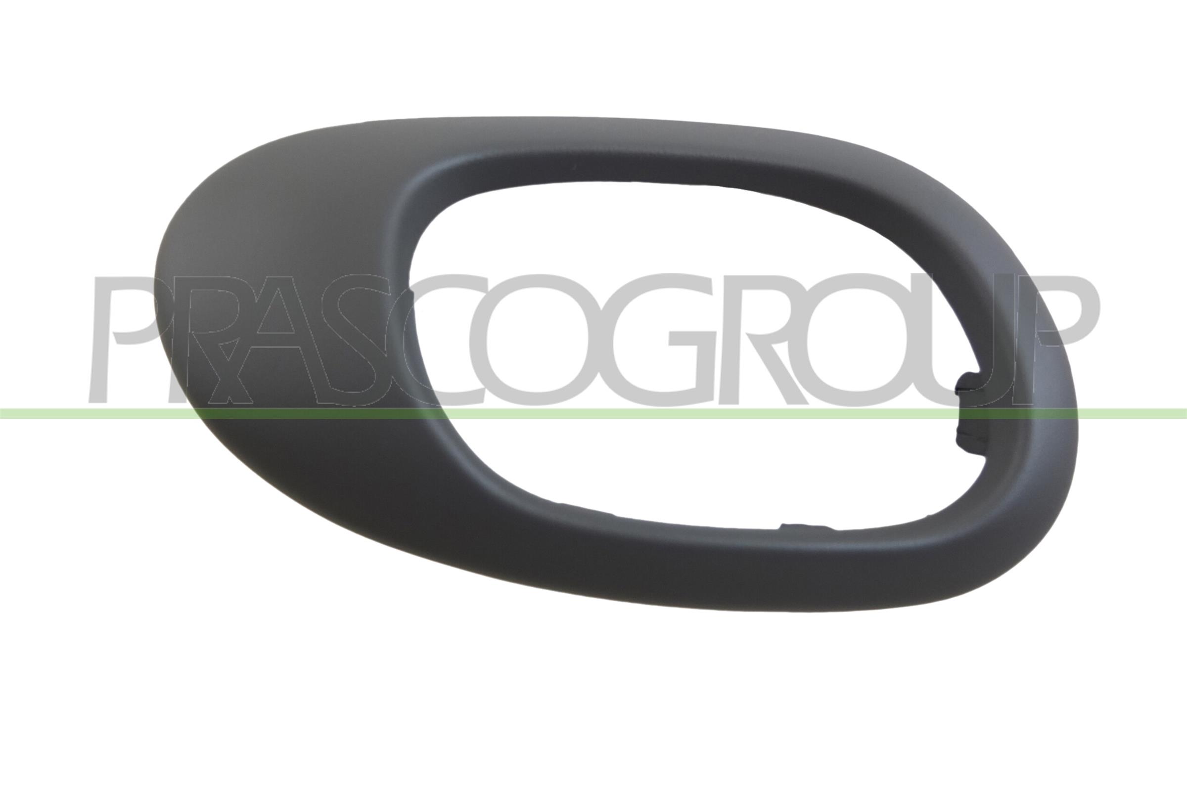 Maner usa, echipare interioara PG0098707 PRASCO