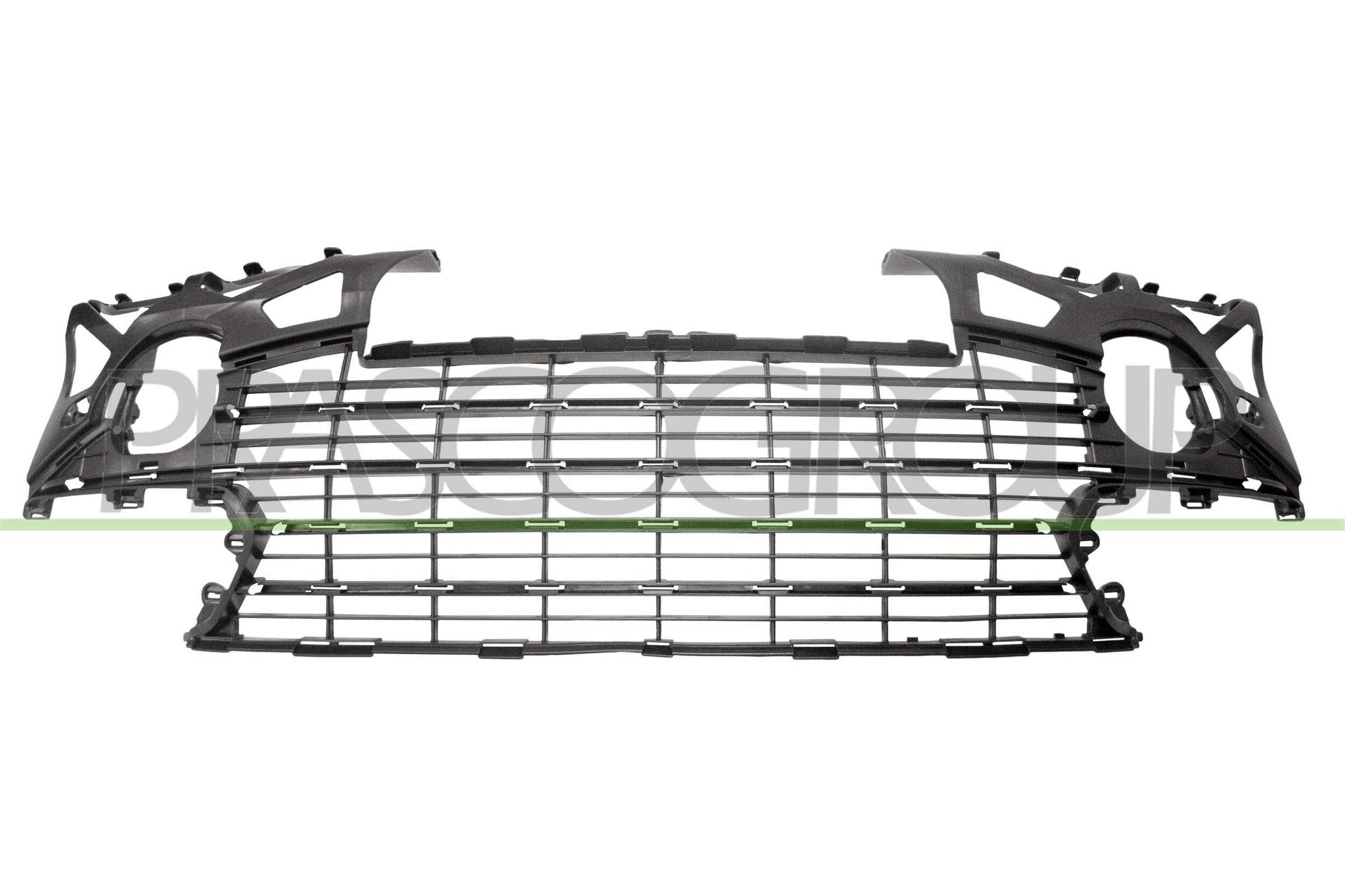 Acoperire, bara protectie PG4222110 PRASCO