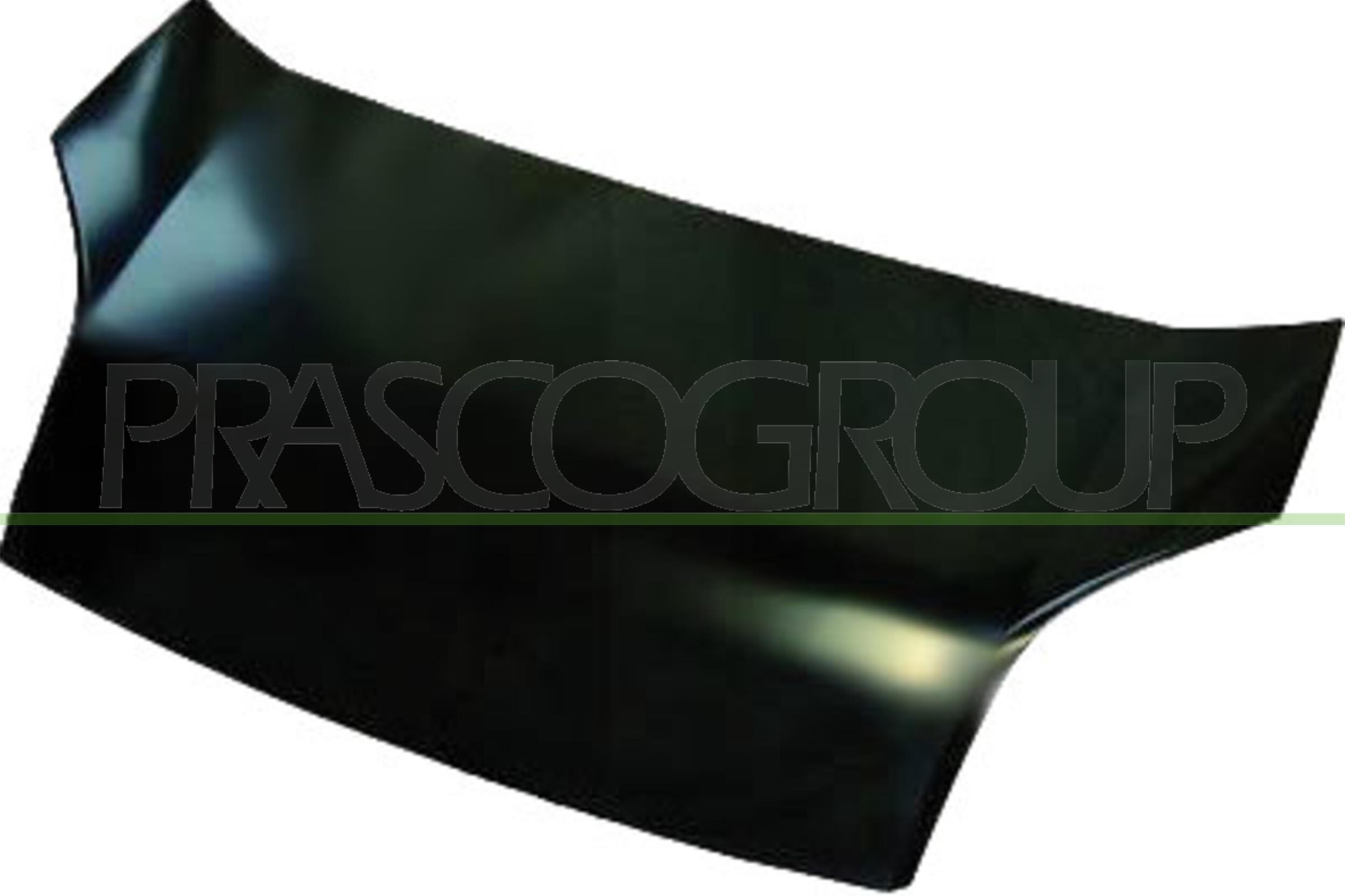 Capota motor PG9143100 PRASCO