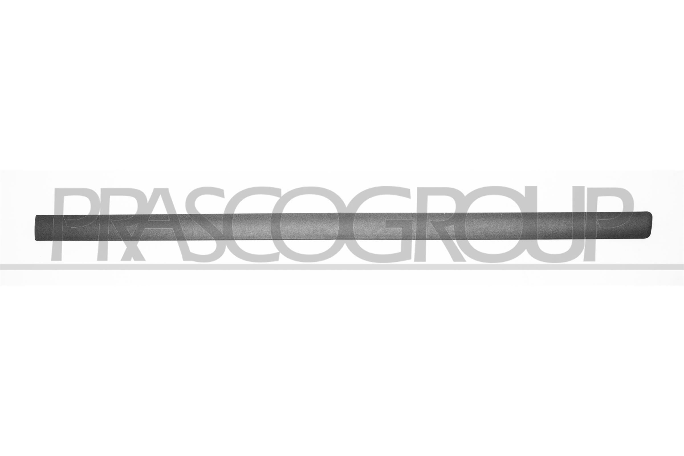 Elemente decorative/protectie, portiera SK0241403 PRASCO
