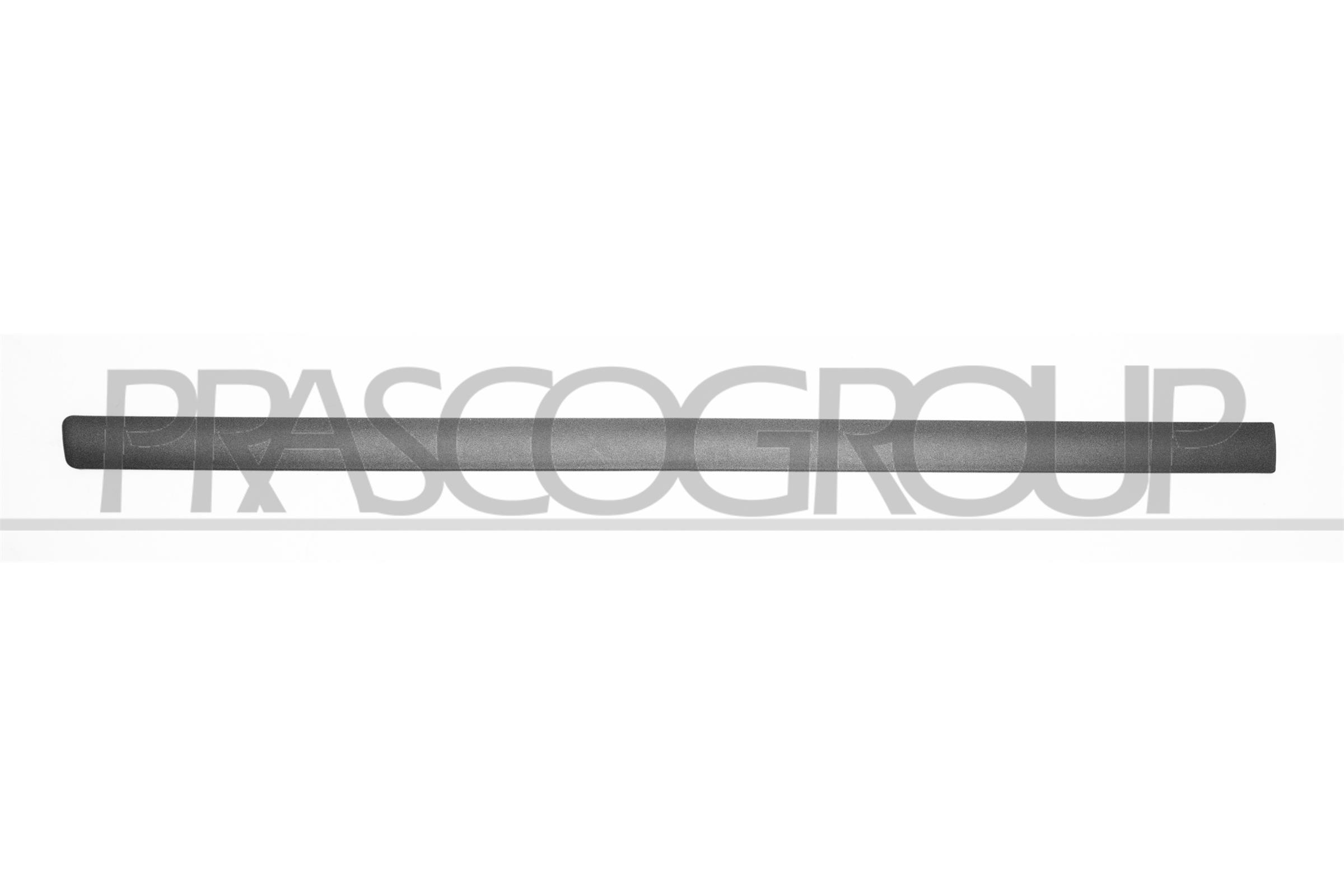 Elemente decorative/protectie, portiera SK0241404 PRASCO