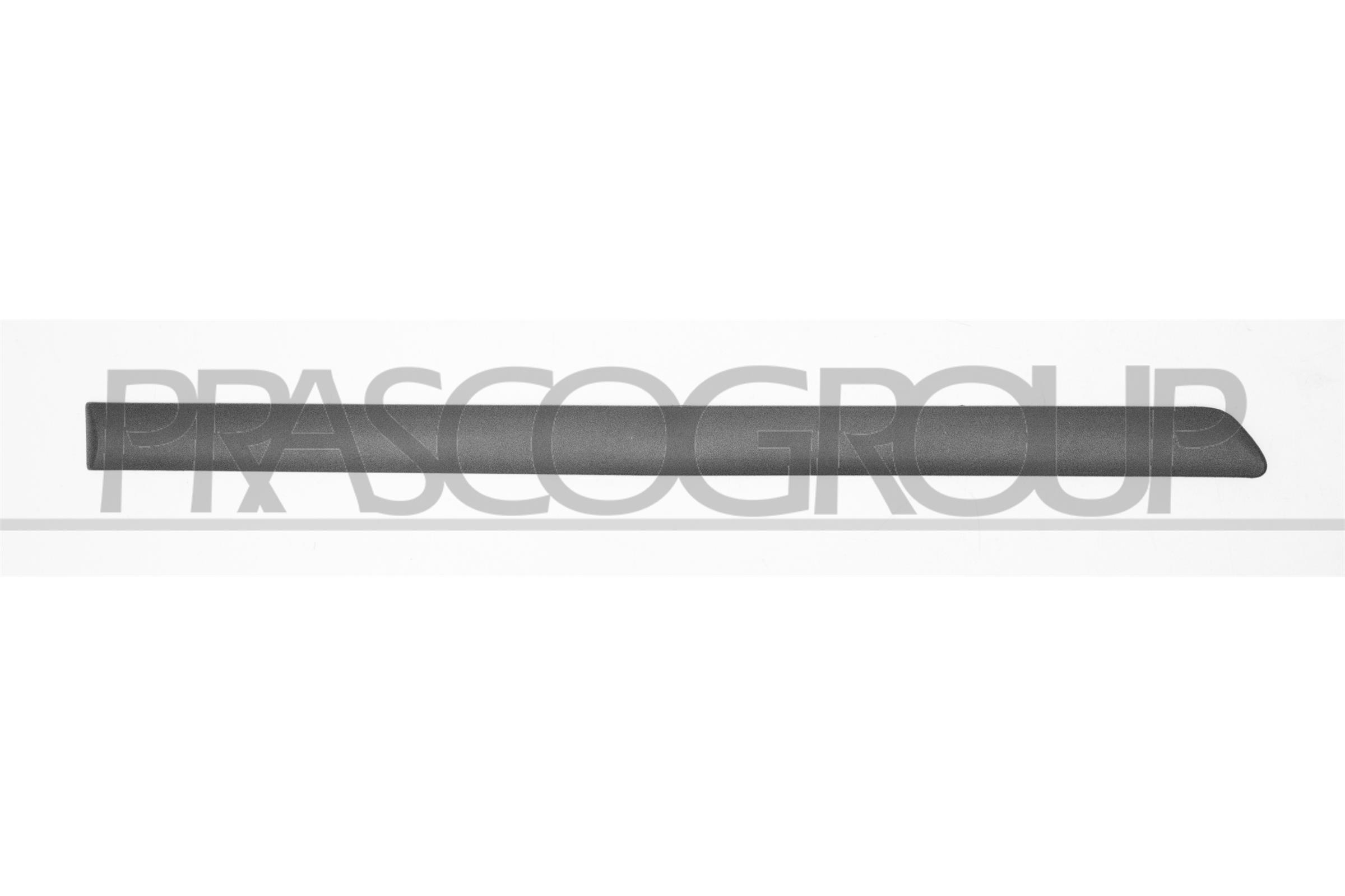 Elemente decorative/protectie, portiera SK0241453 PRASCO