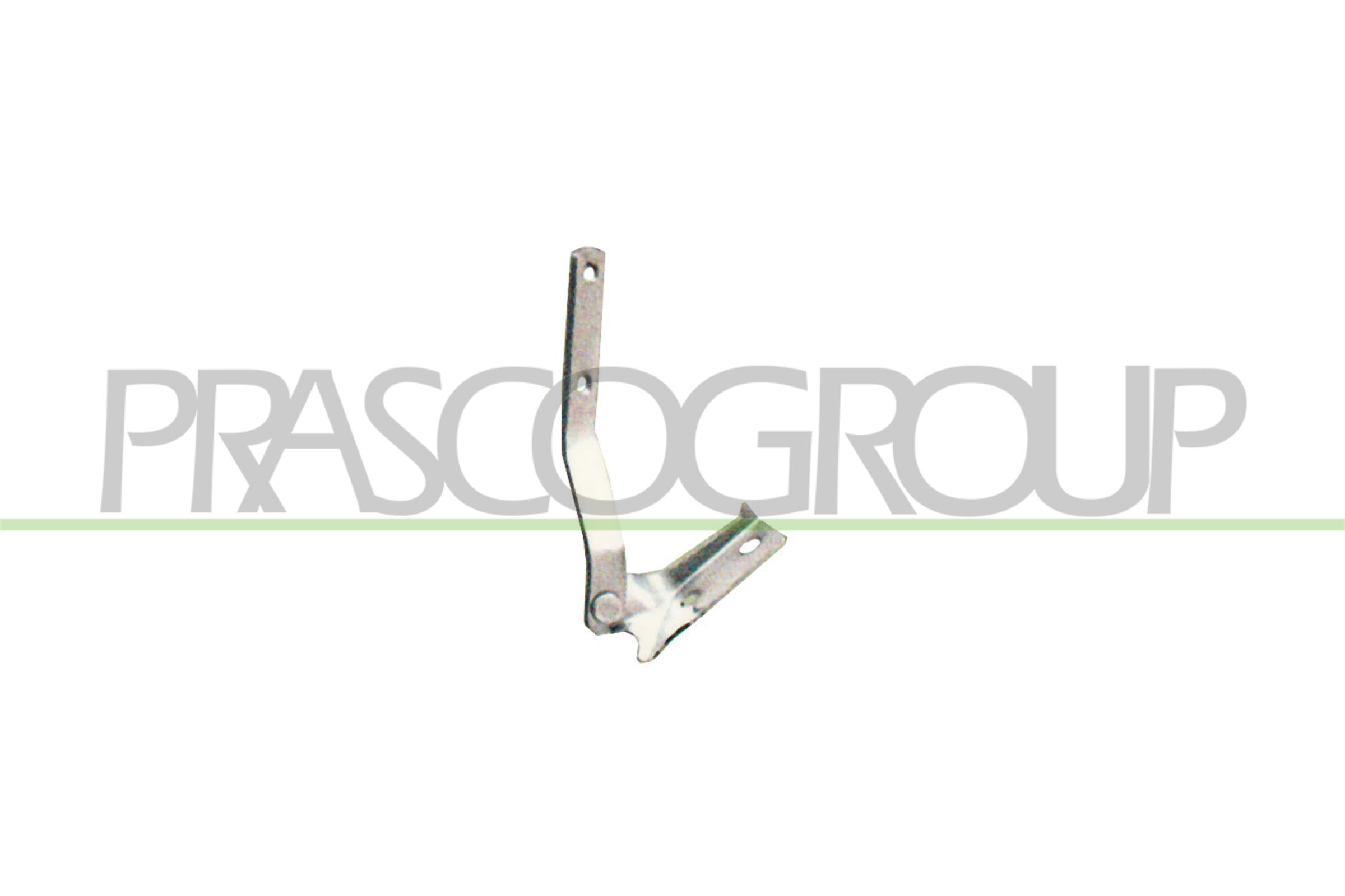 Balama, capota motor VG0163704 PRASCO