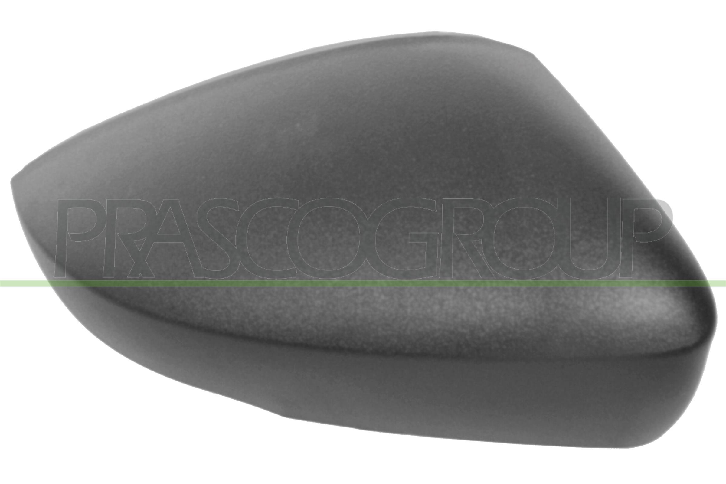 Acoperire oglinda exterioara VG0237413 PRASCO