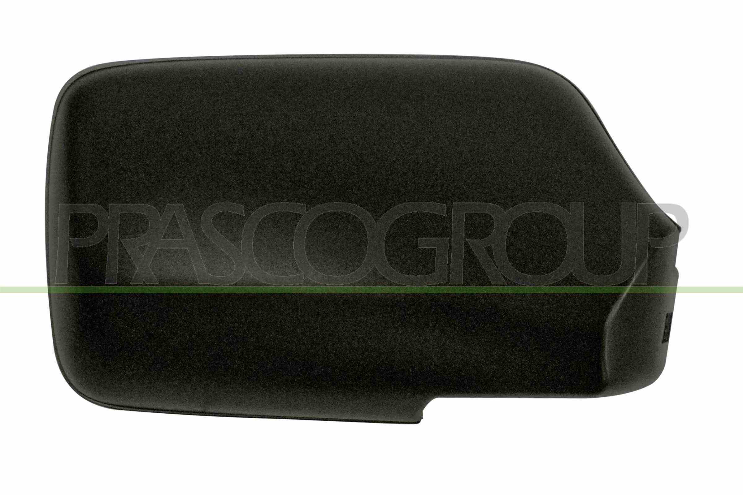 Acoperire oglinda exterioara VG0327403 PRASCO
