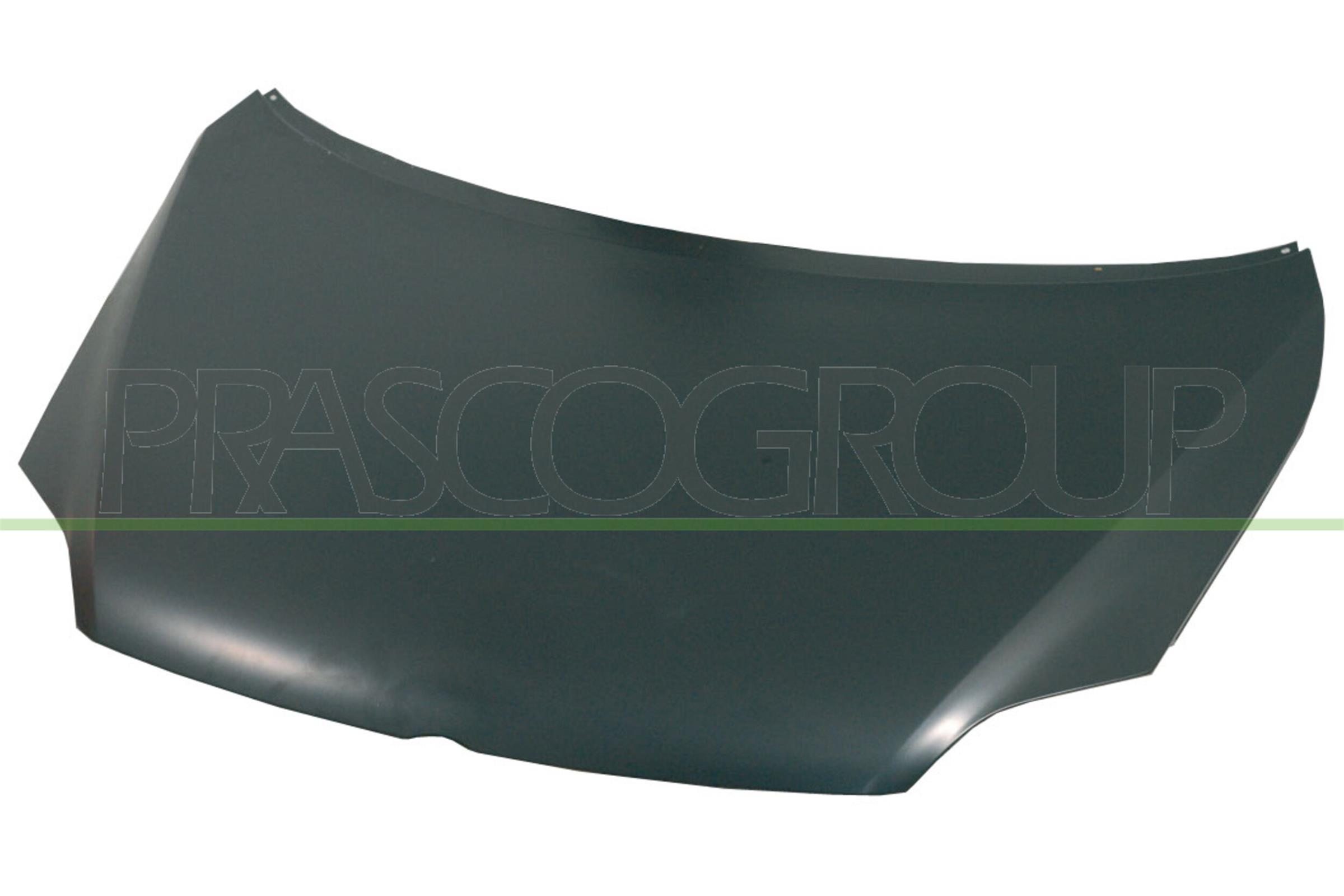 Capota motor VG0403100 PRASCO