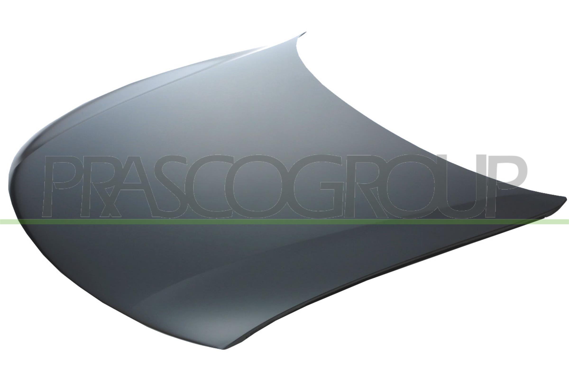 Capota motor VG0523100 PRASCO