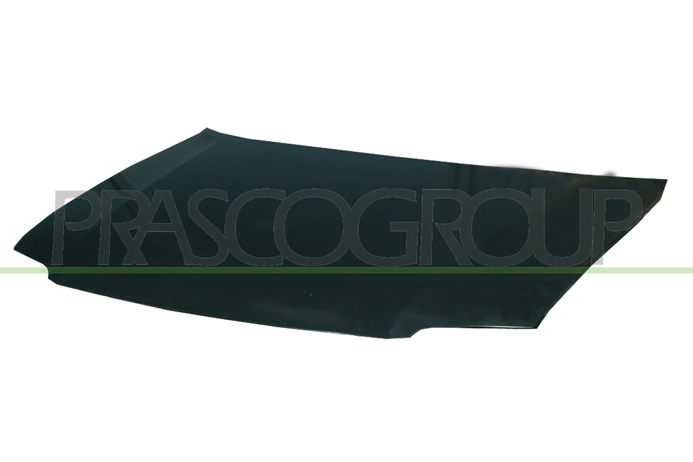 Capota motor VG0533130 PRASCO