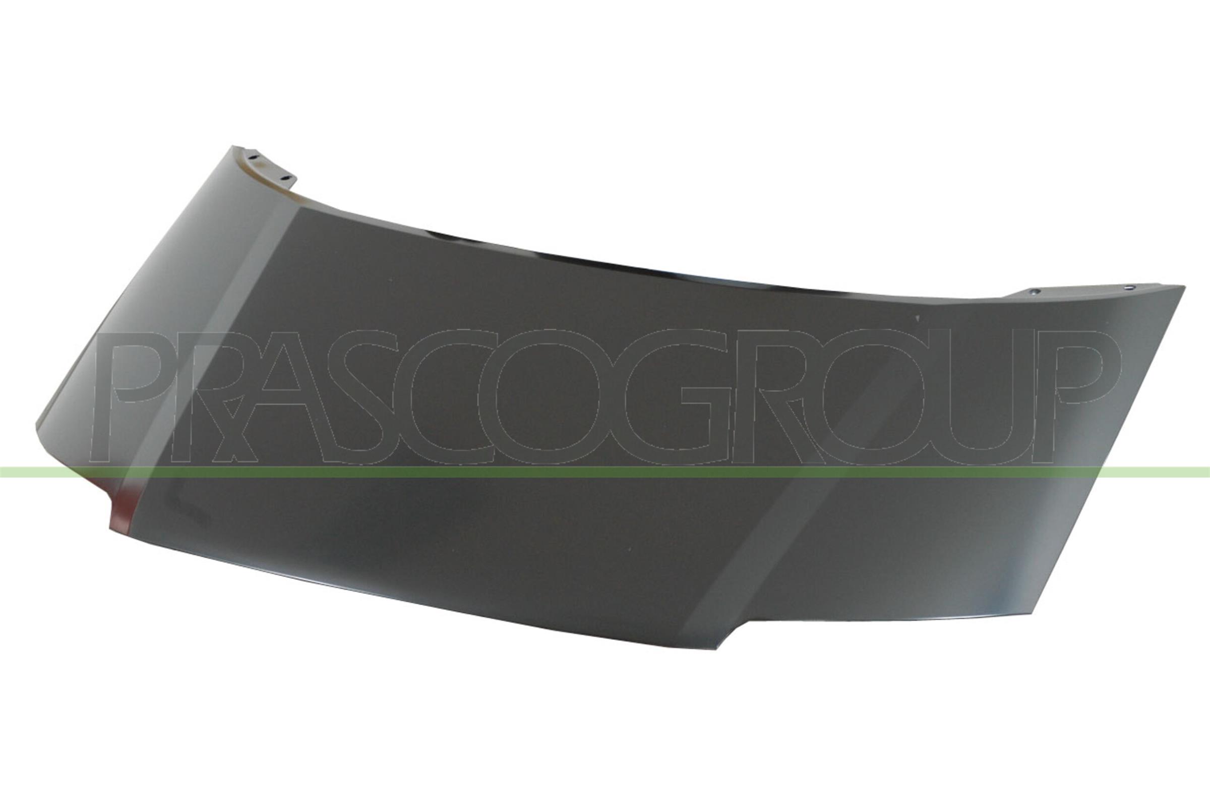 Capota motor VG0973100 PRASCO