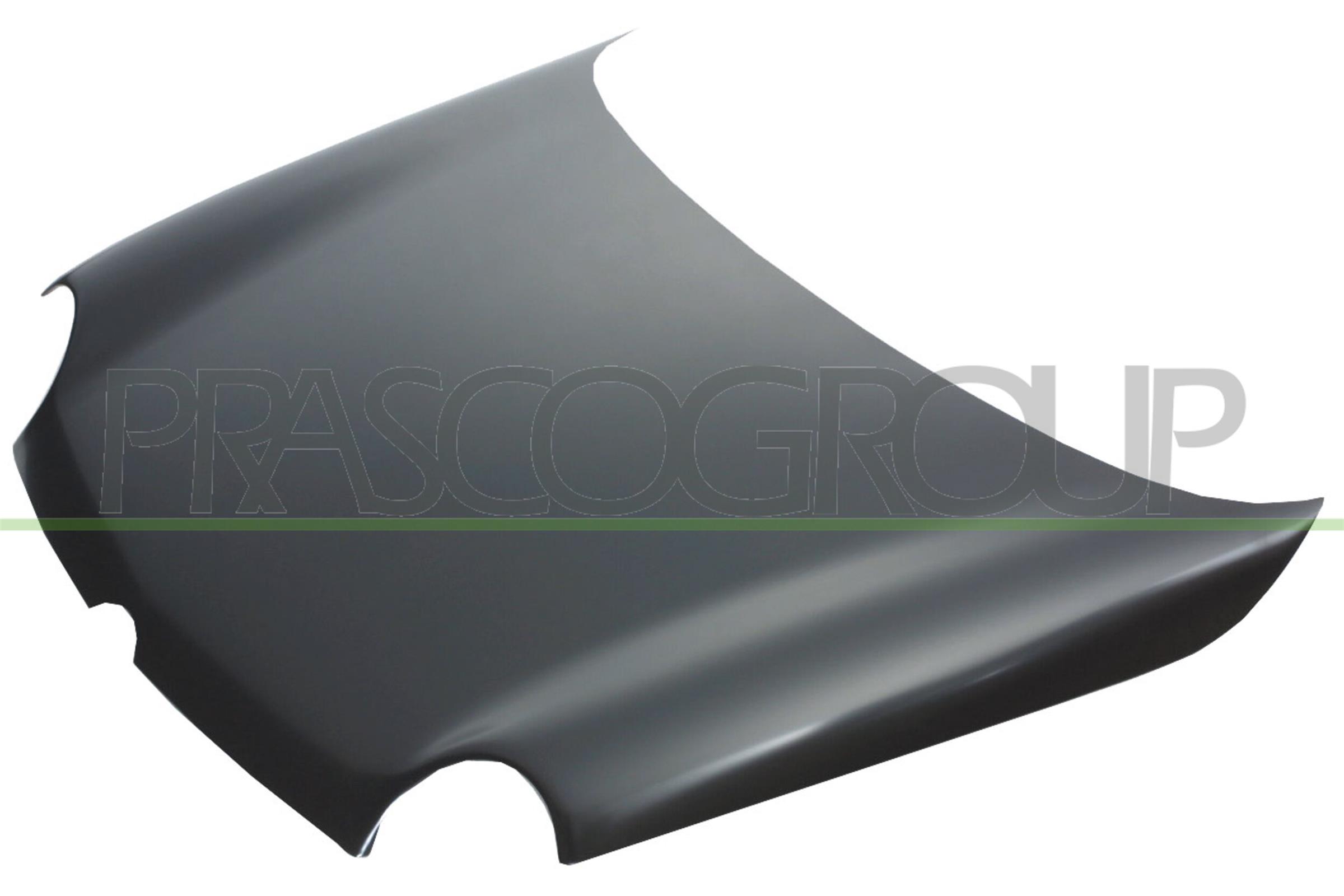 Capota motor VG3203100 PRASCO
