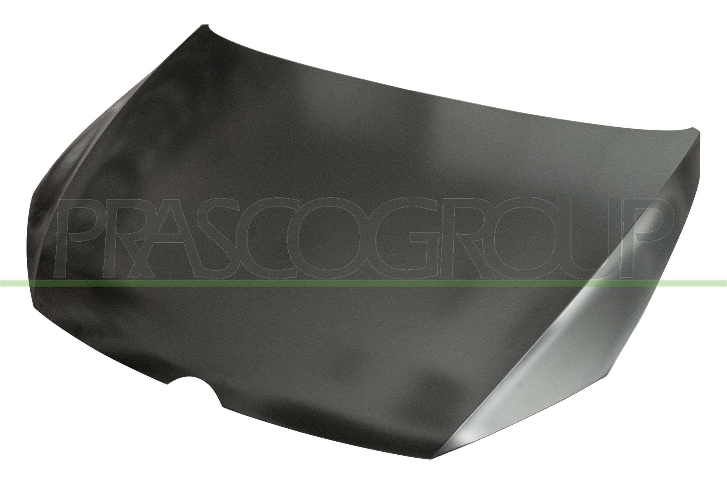 Capota motor VG4003100 PRASCO