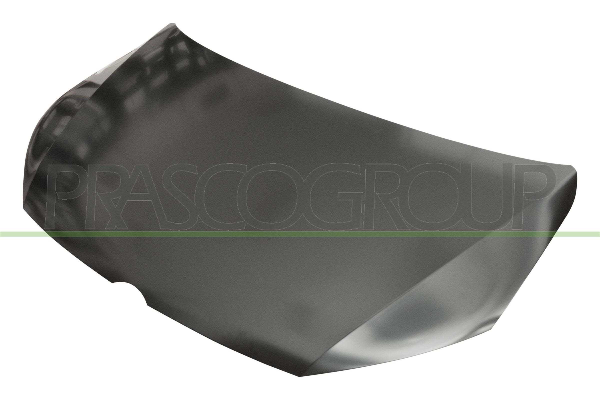 Capota motor VG7193130 PRASCO