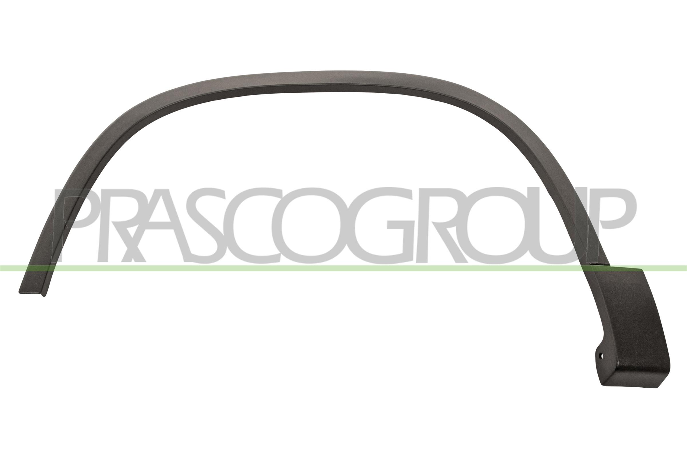 Elemente decorative/protectie, aripa VG8091582 PRASCO