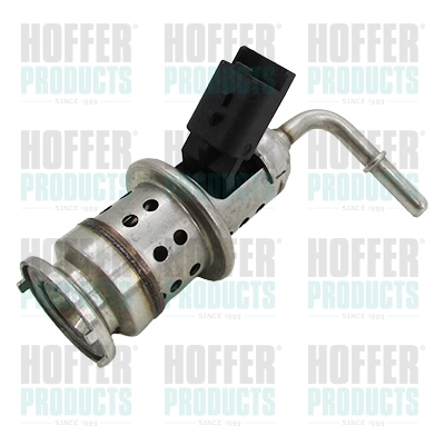 Modul dozare, injectie aditiv 7503090 HOFFER