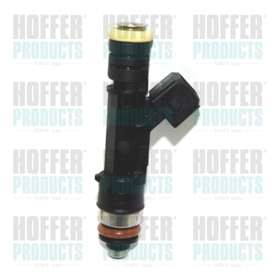 Injector H75114827 HOFFER
