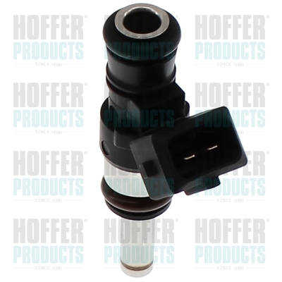 Injector H75117945 HOFFER