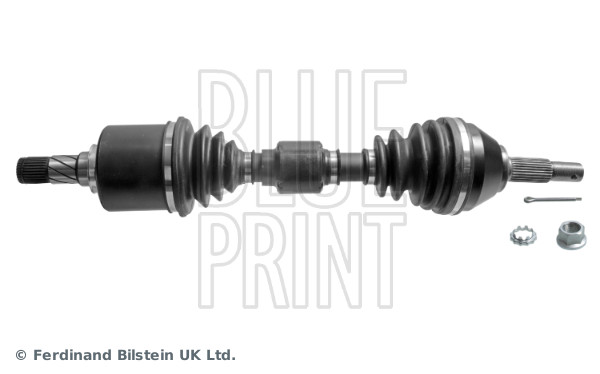 Planetara ADBP890053 BLUE PRINT